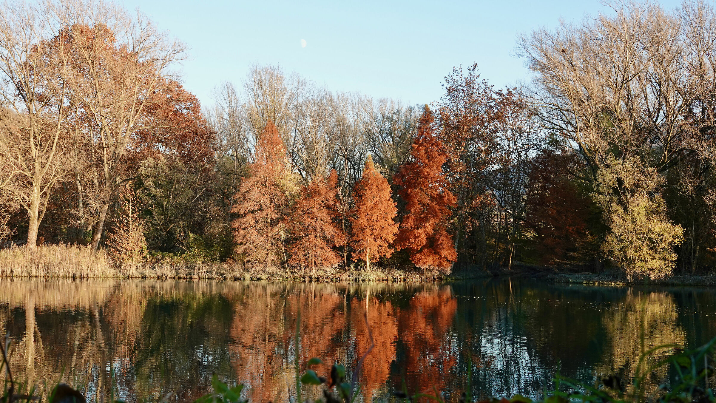 Adda, caldi colori autunnali 2