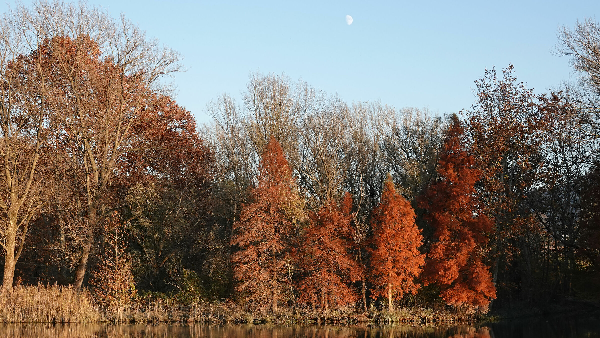Adda, caldi colori autunnali 3