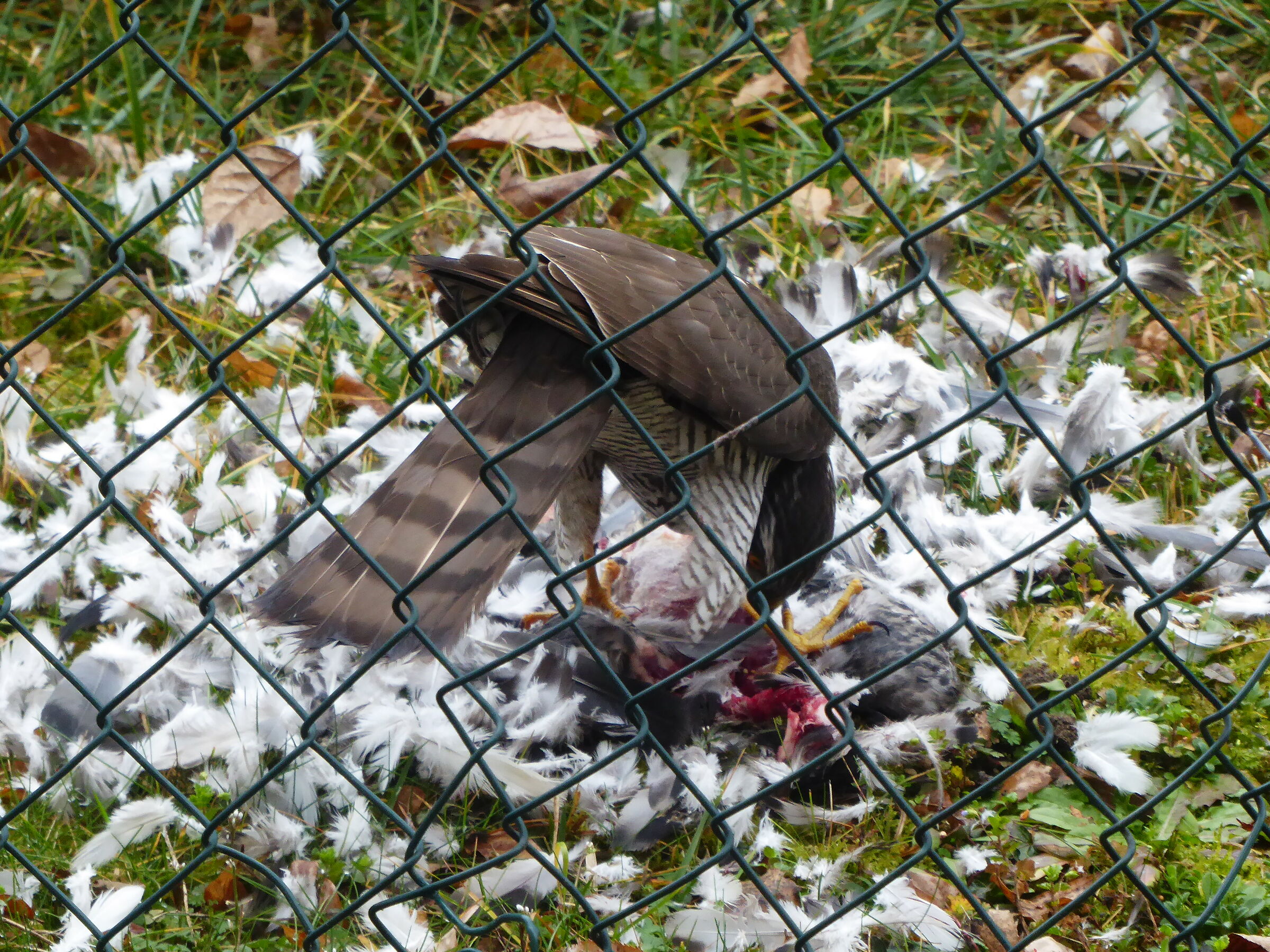 a tre metri dalla finestra