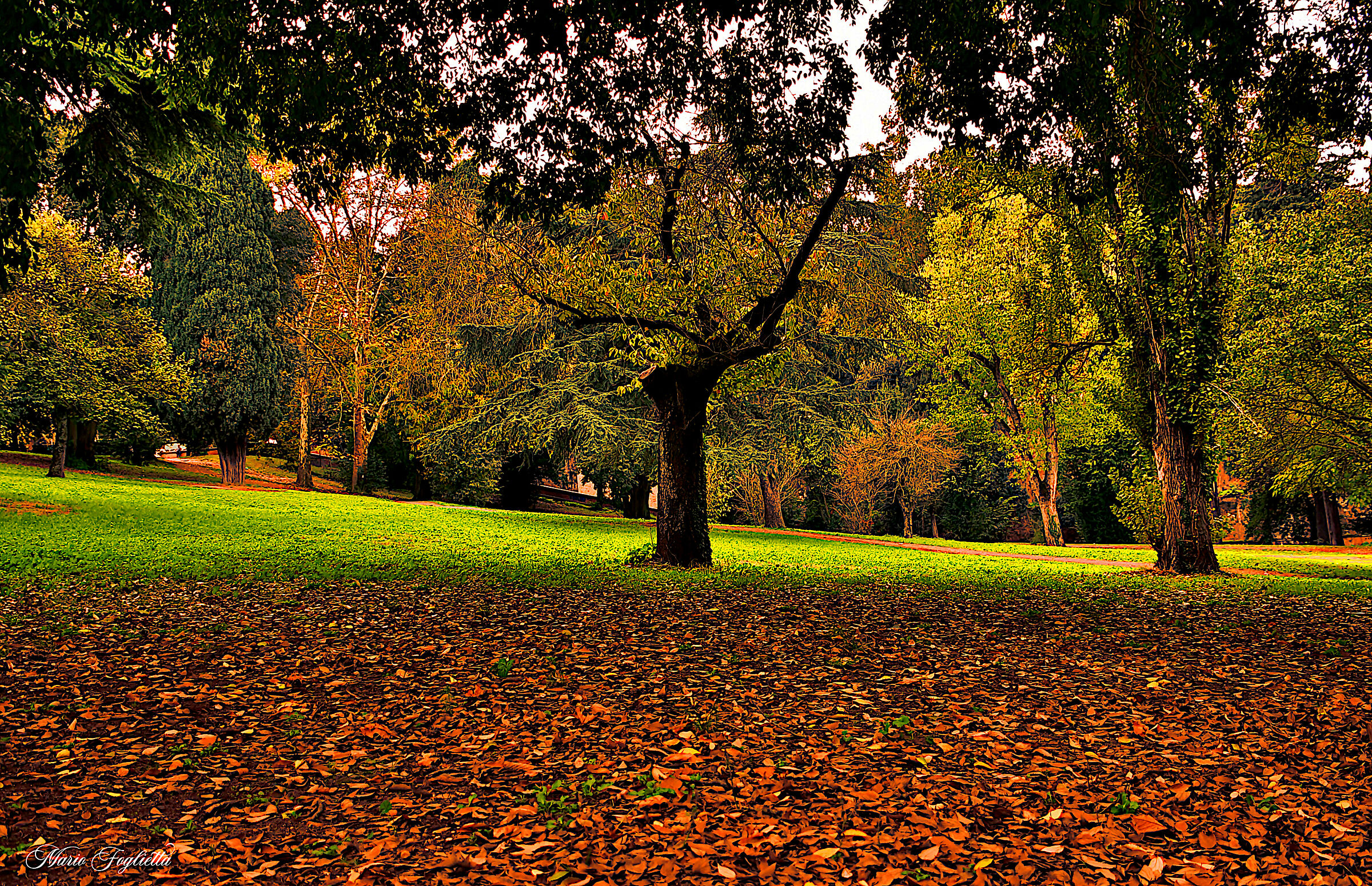 The colours of autumn