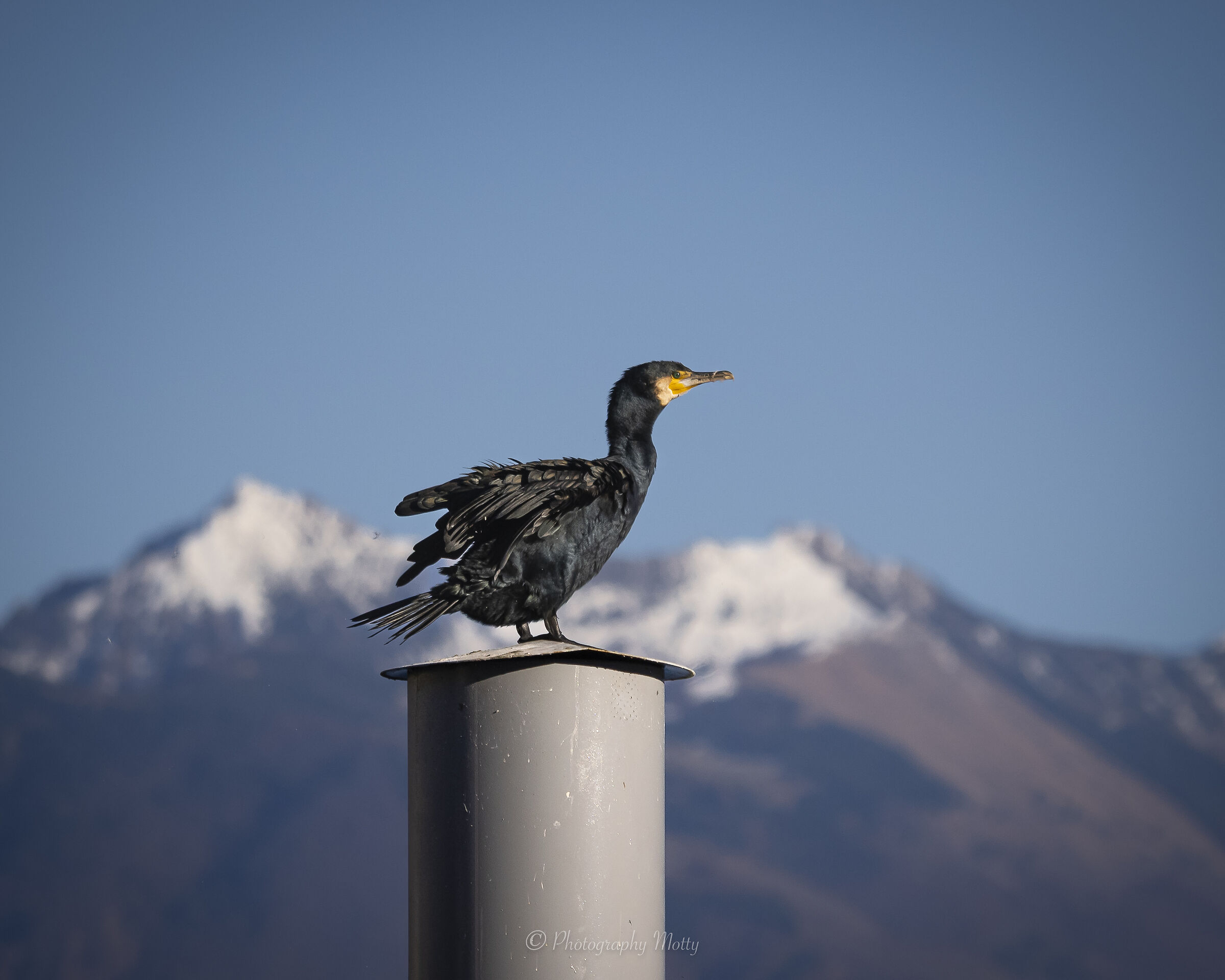 Andrò anche io nella neve prima o poi