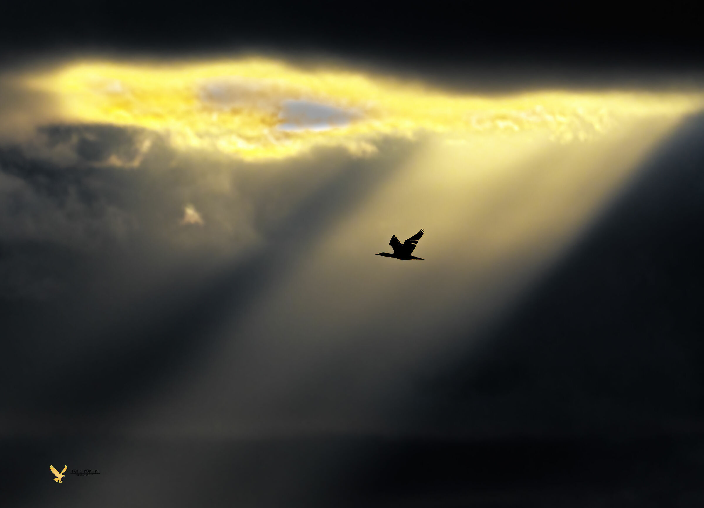 A glimmer of light