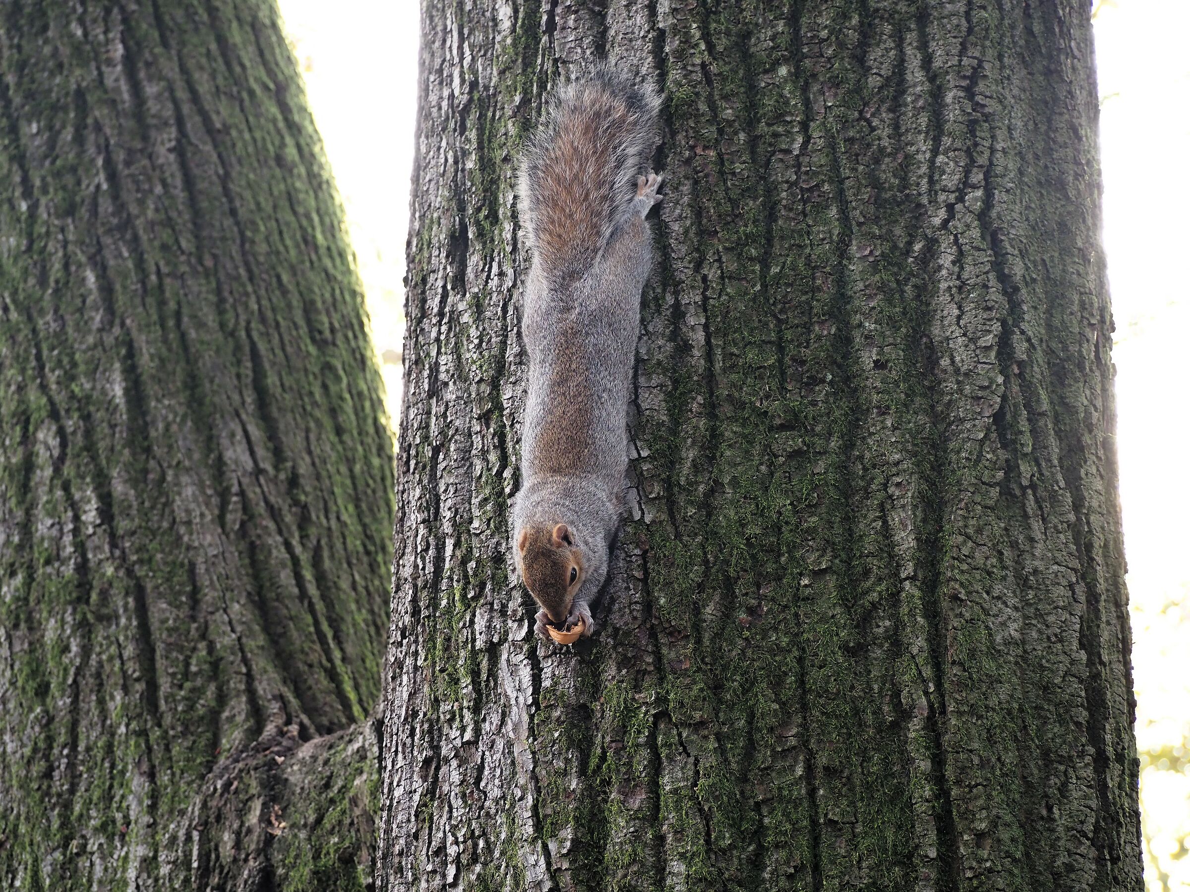 " Lo spuntino continua "