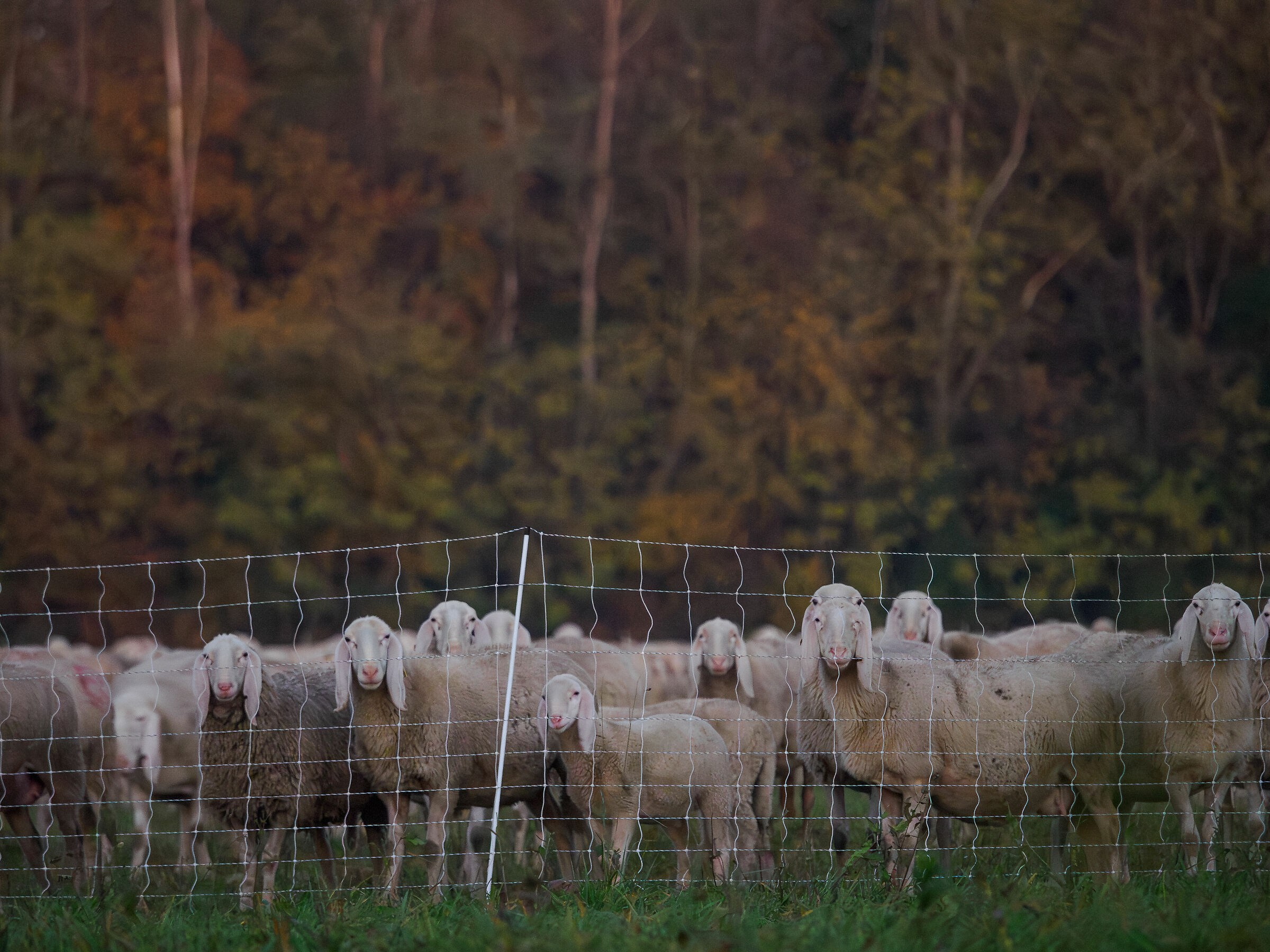 What are you looking at?!