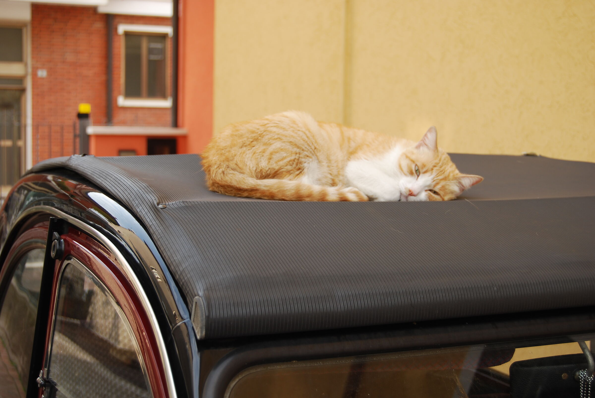 un buon materasso comodo
