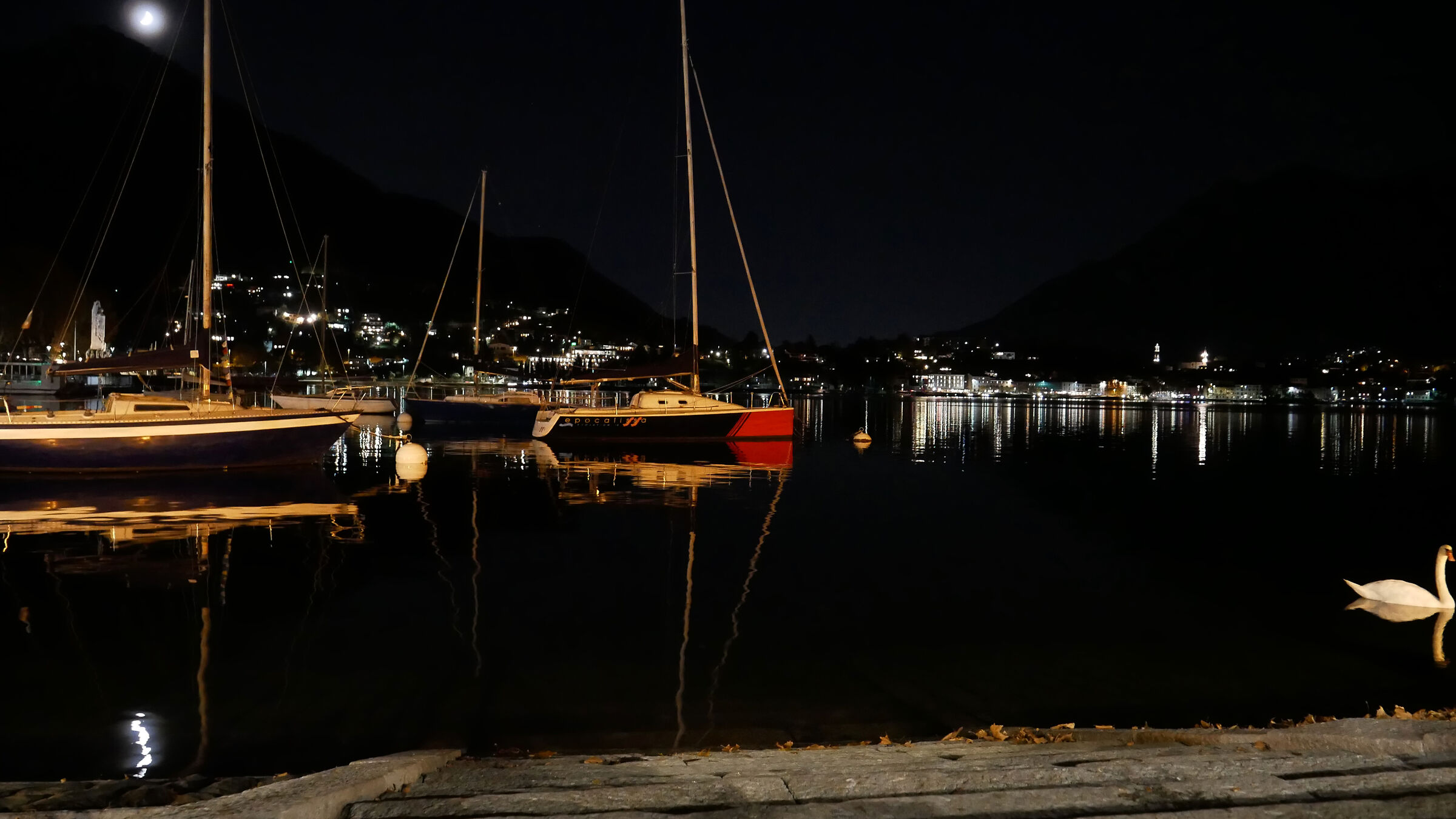 Cigno nottambulo sul lago