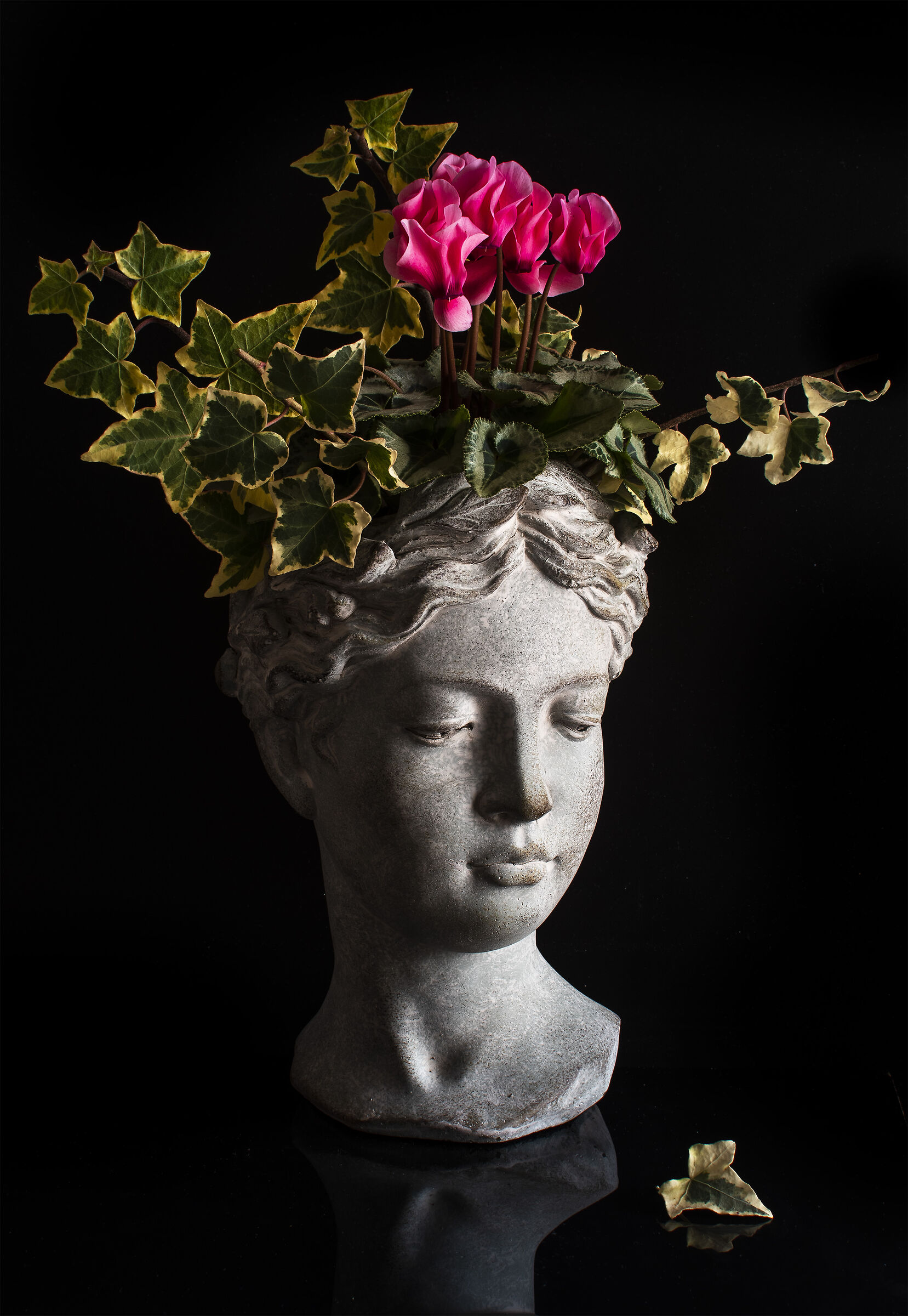 Composition with cyclamen.