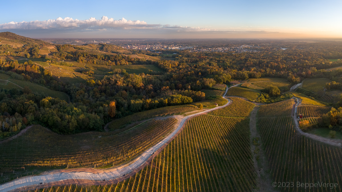 Vineyards of Gattinara
