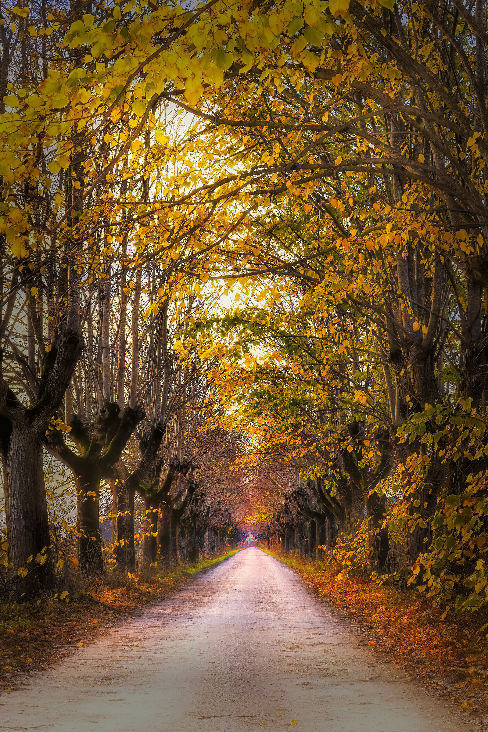 Il tunnel...dei sogni.