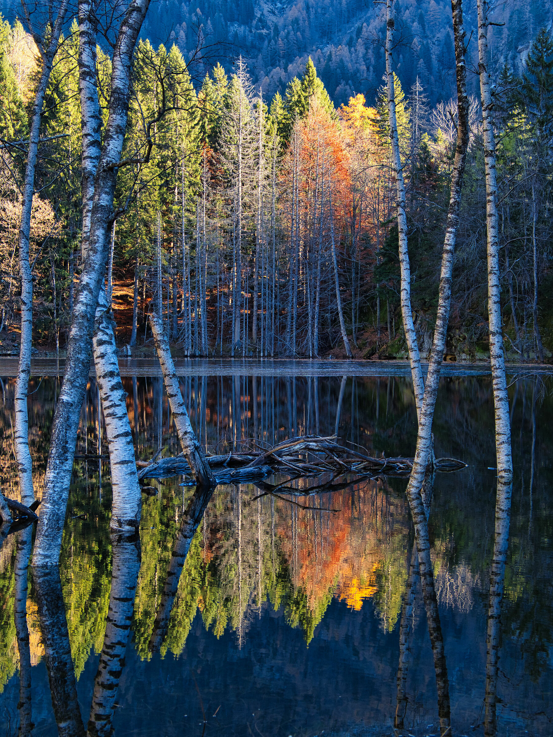 Reflect..