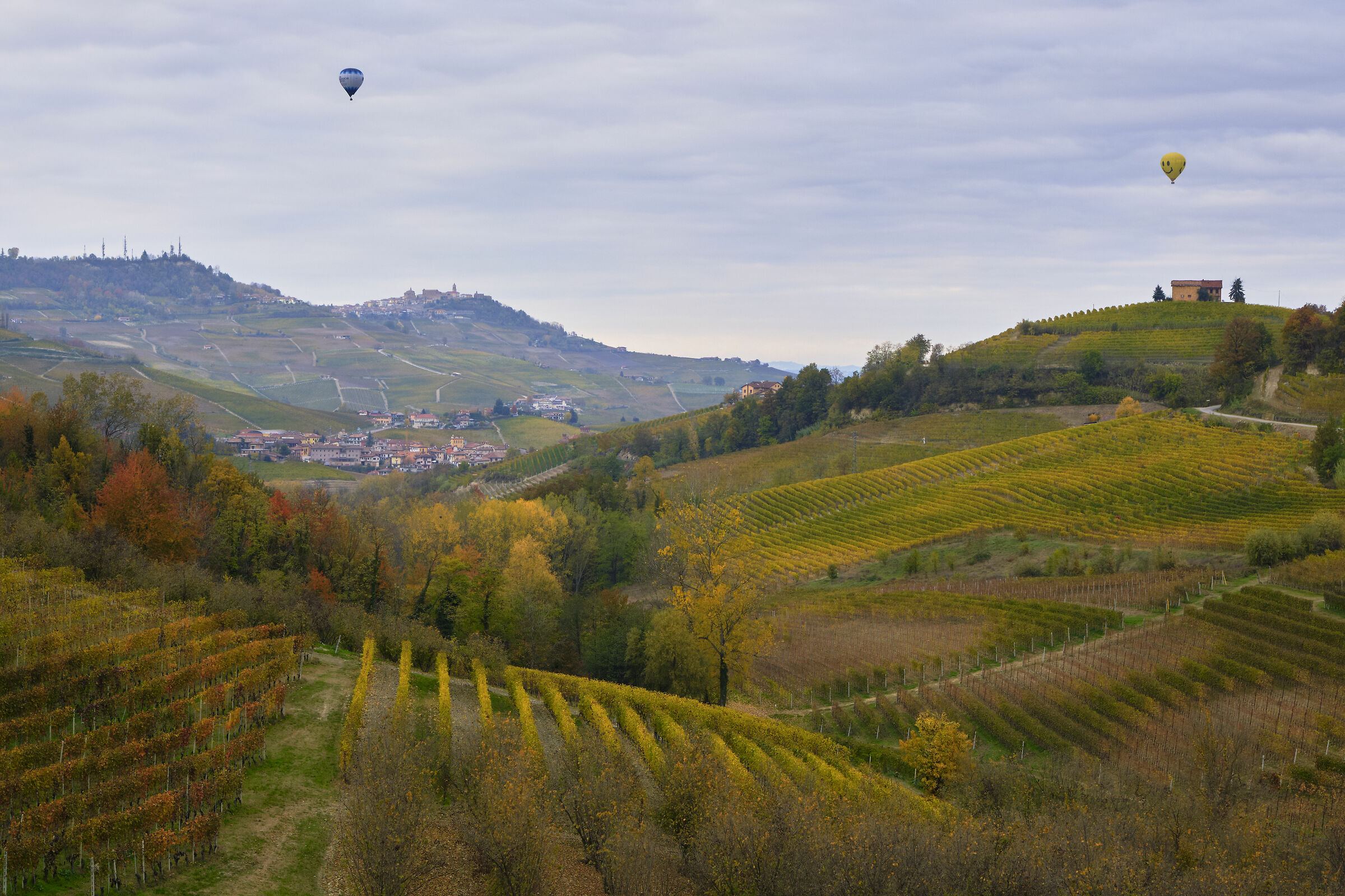 Paesaggio Langhe