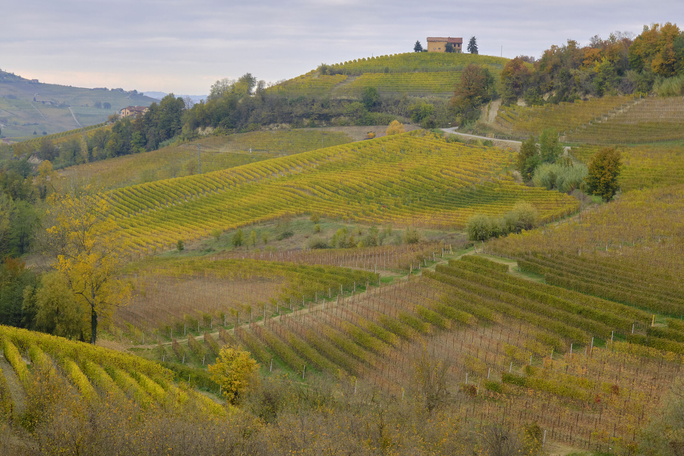 Paesaggio Langhe