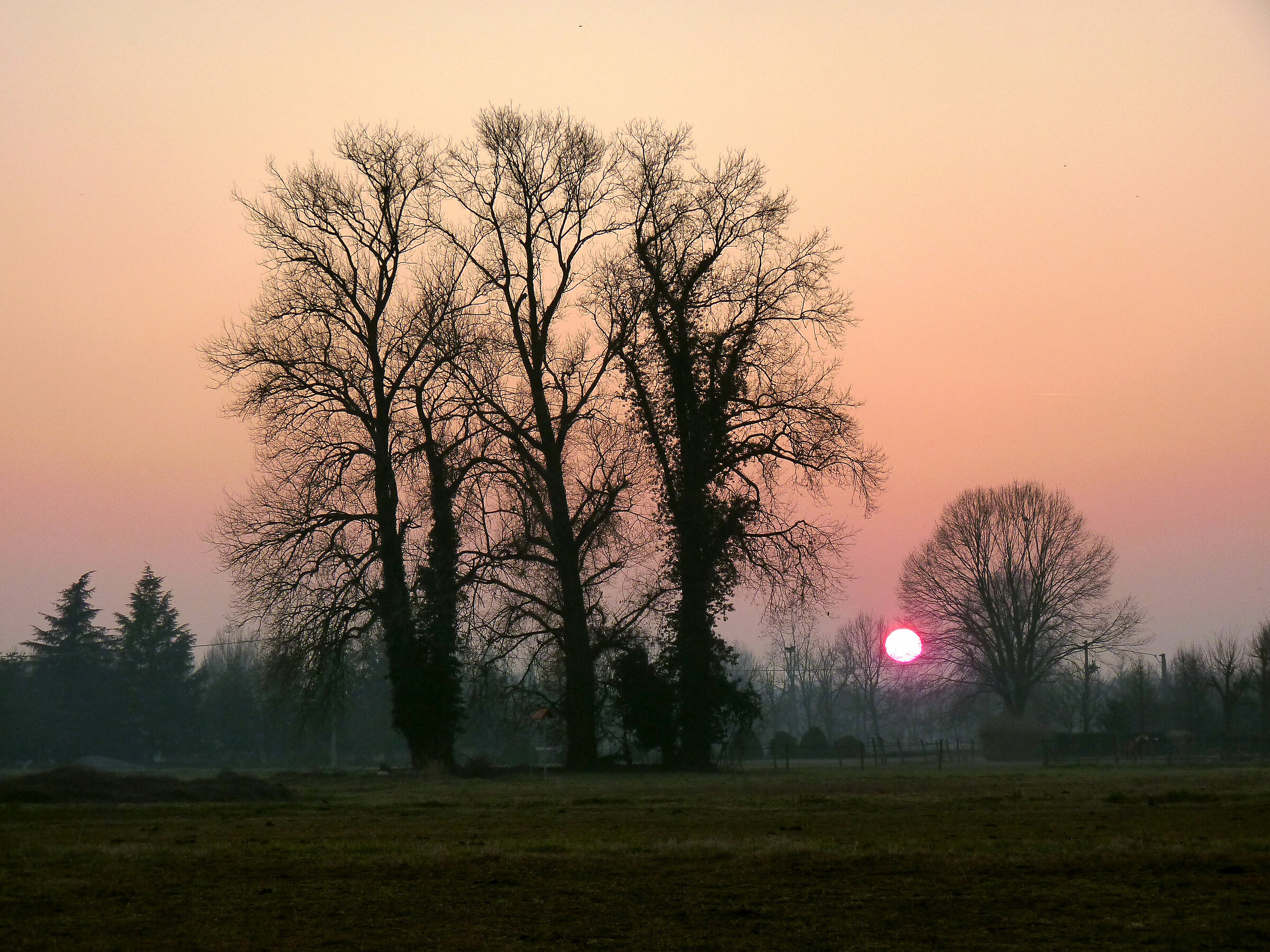 Countryside around Cuggiono (MI)