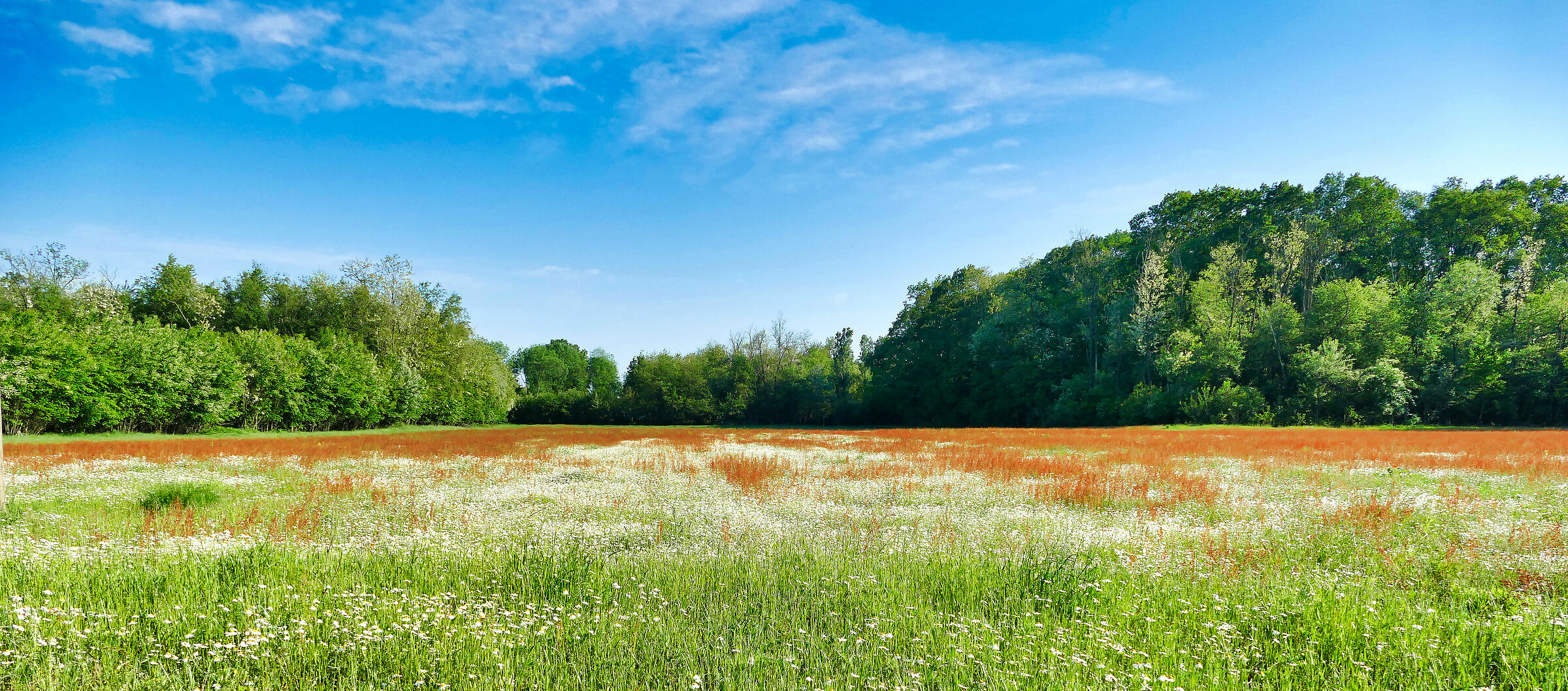 Pianura - Cuggiono (MI)