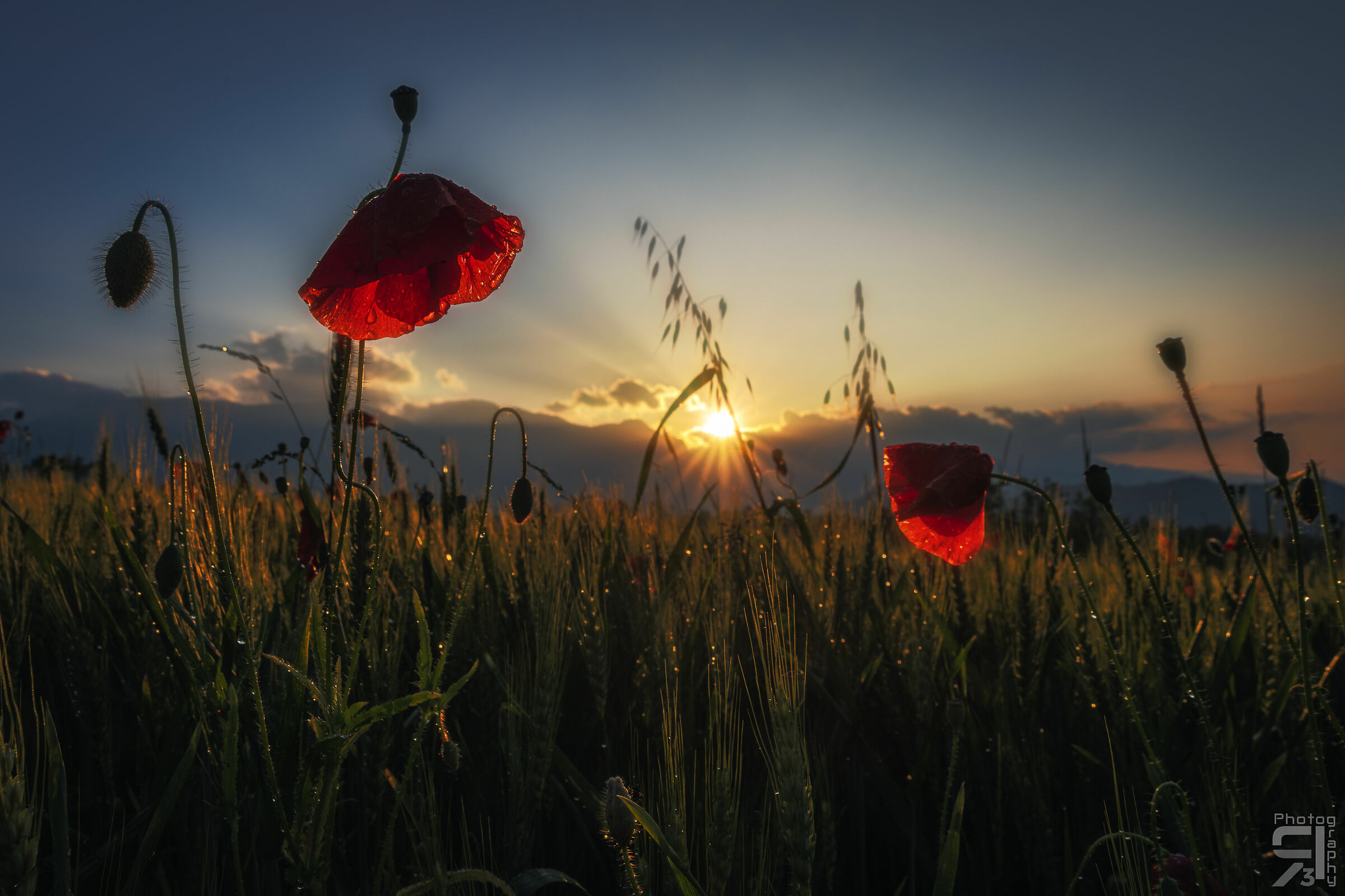 Tramonto sui Sibillini