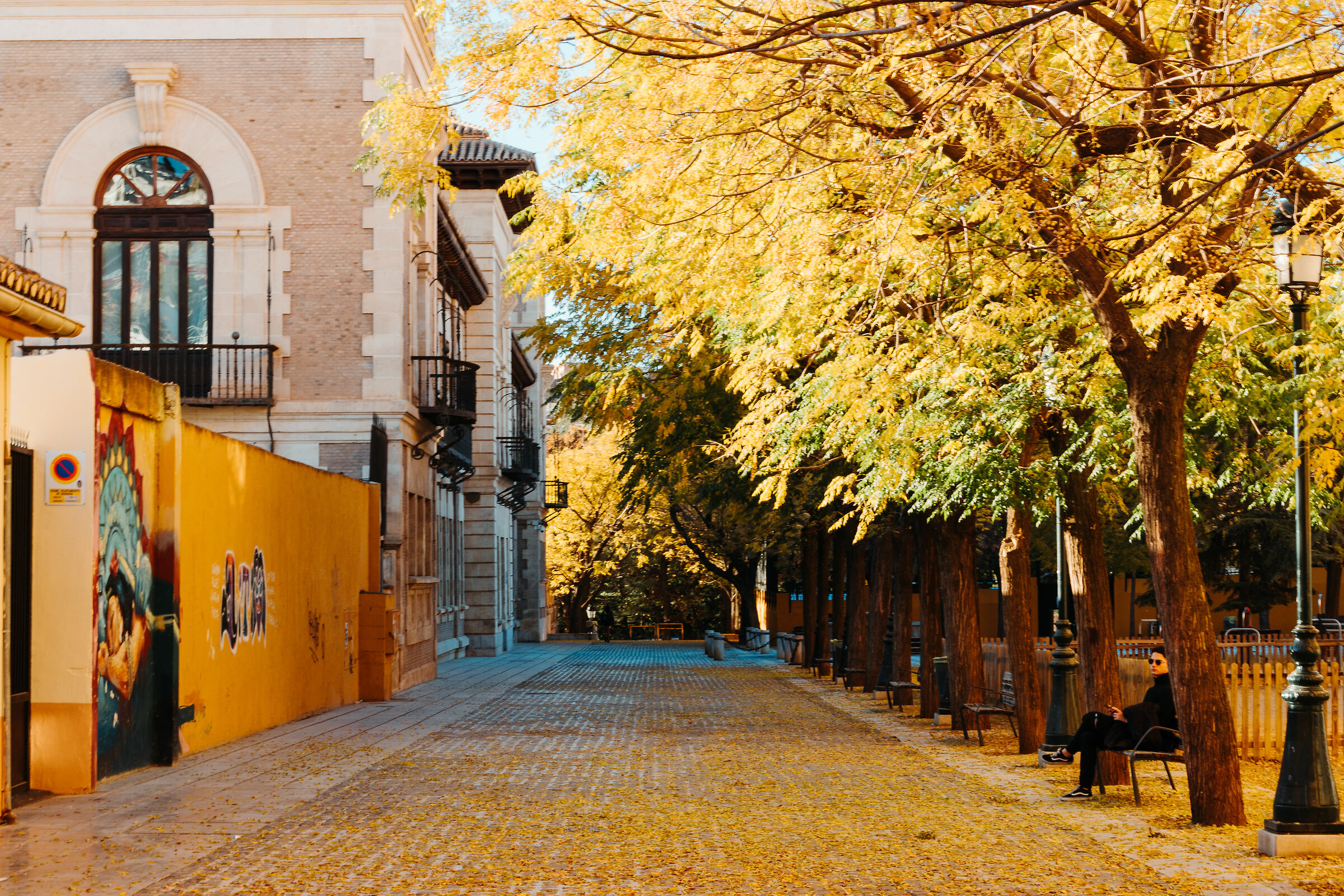 Autumn colours of Plaza Libertad, Granada