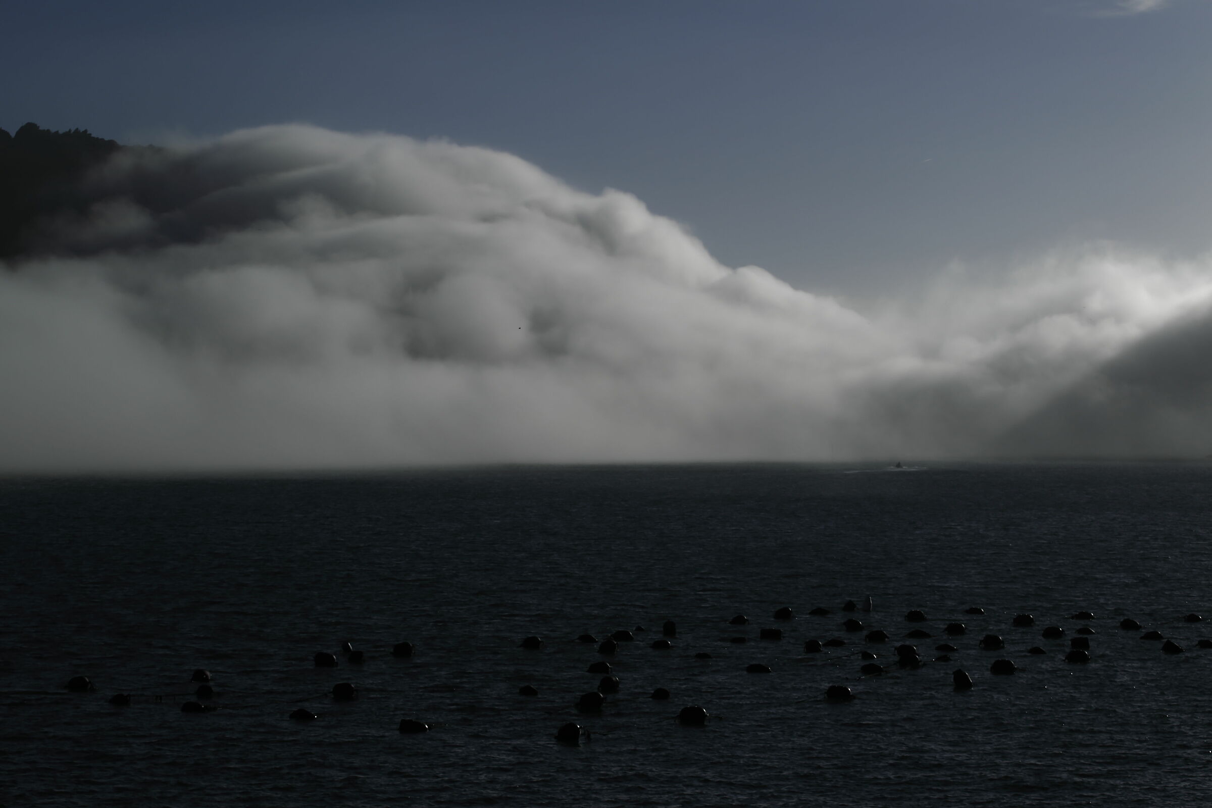 caligo a Portovenere