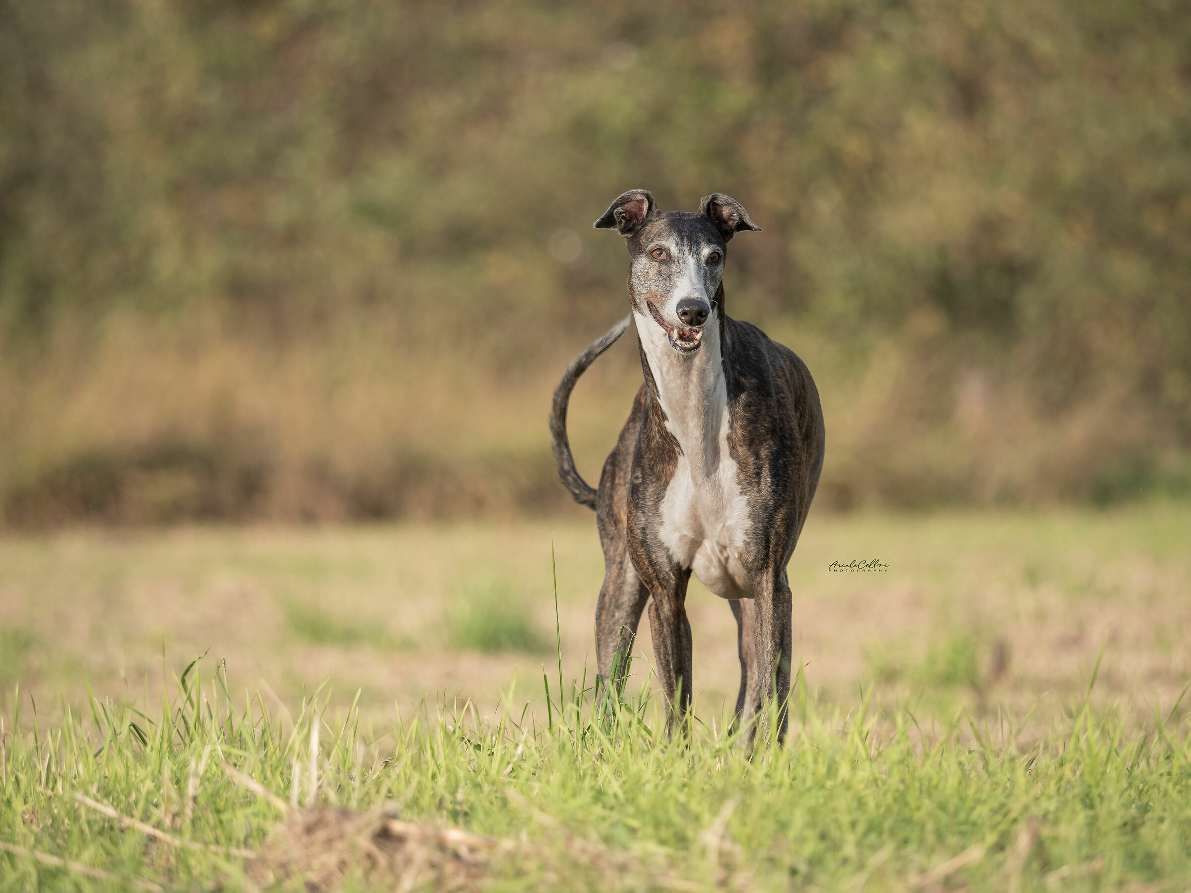 Non più giovanissima ma sempre bellissima