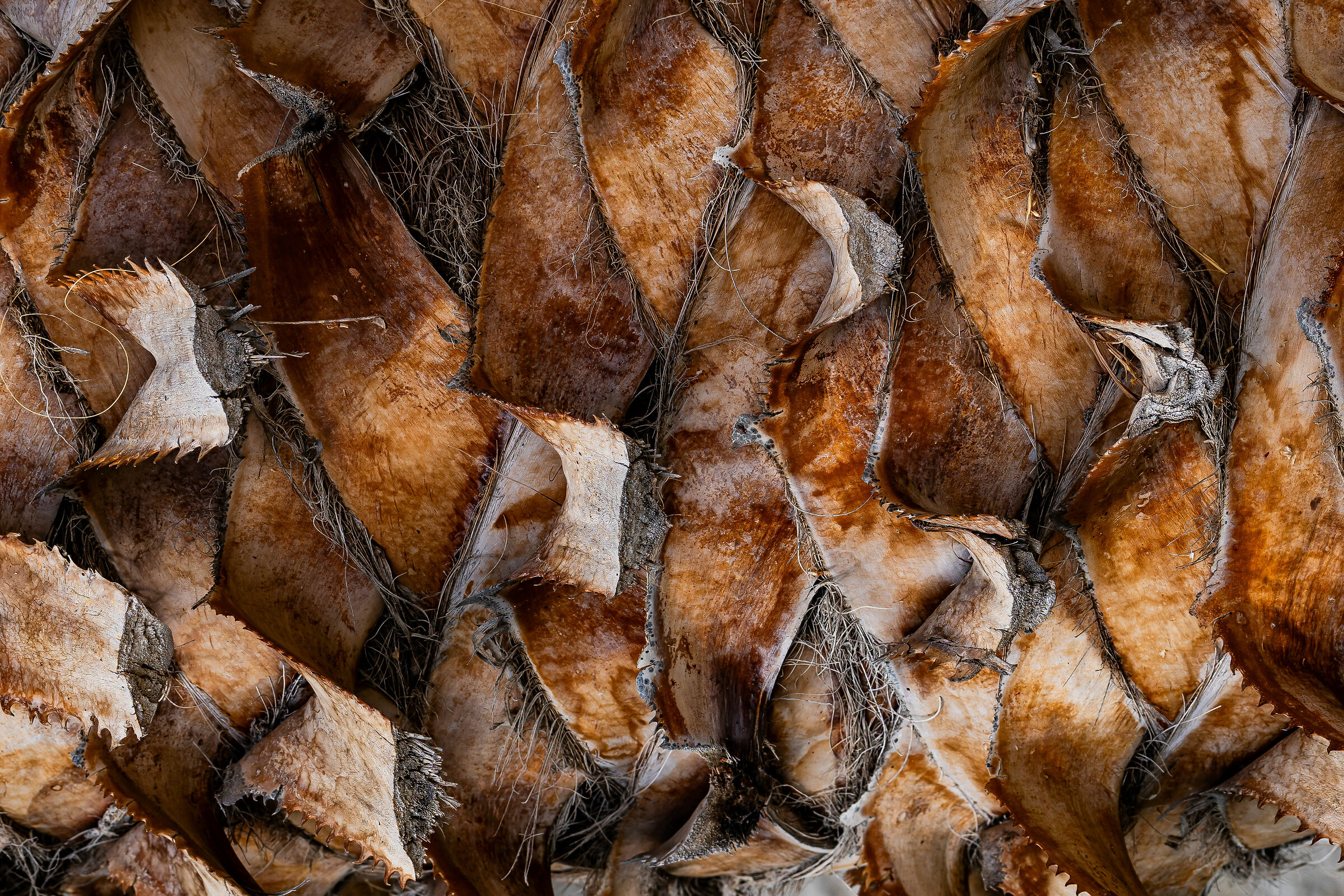 Texture & Pattern....