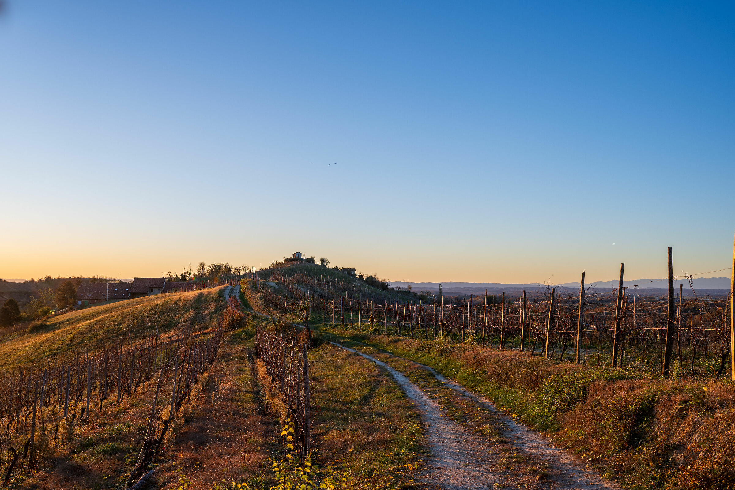 Monferrato