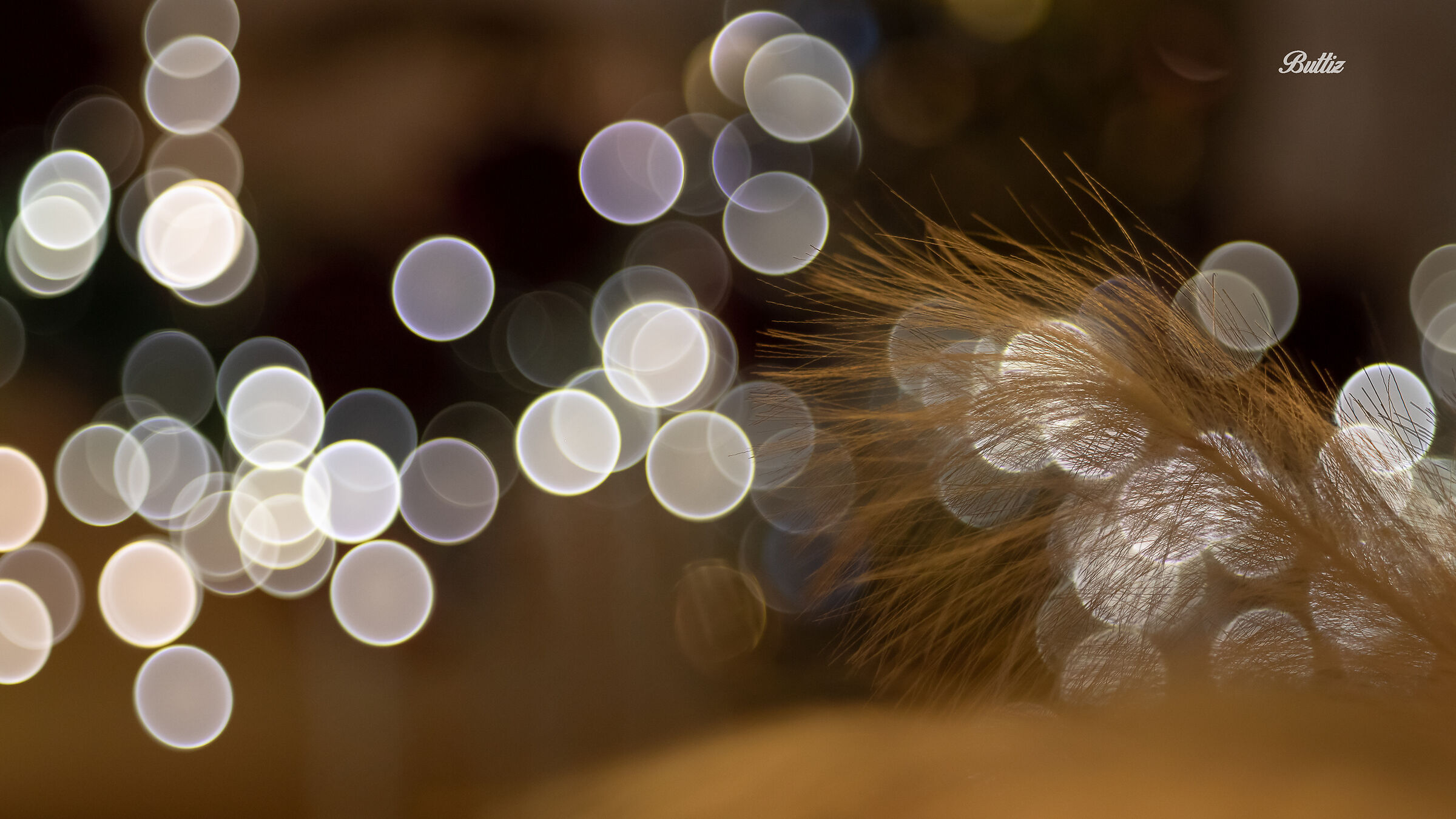 Ttartisan 100mm f2.8 B