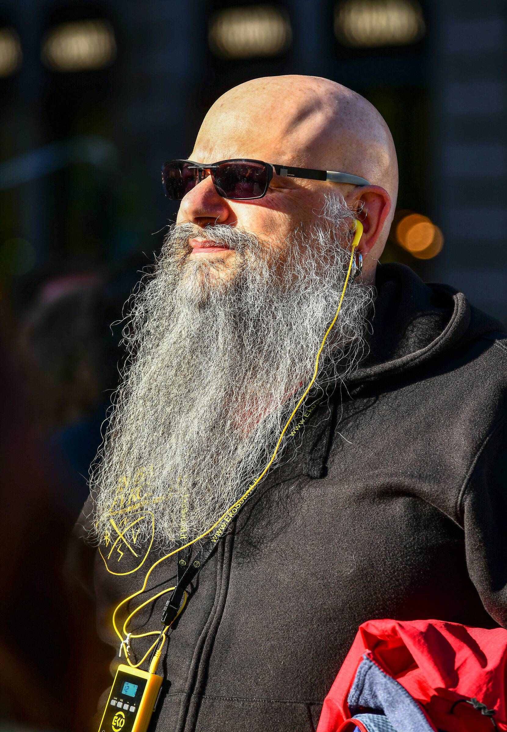 Bearded Villains Gathering