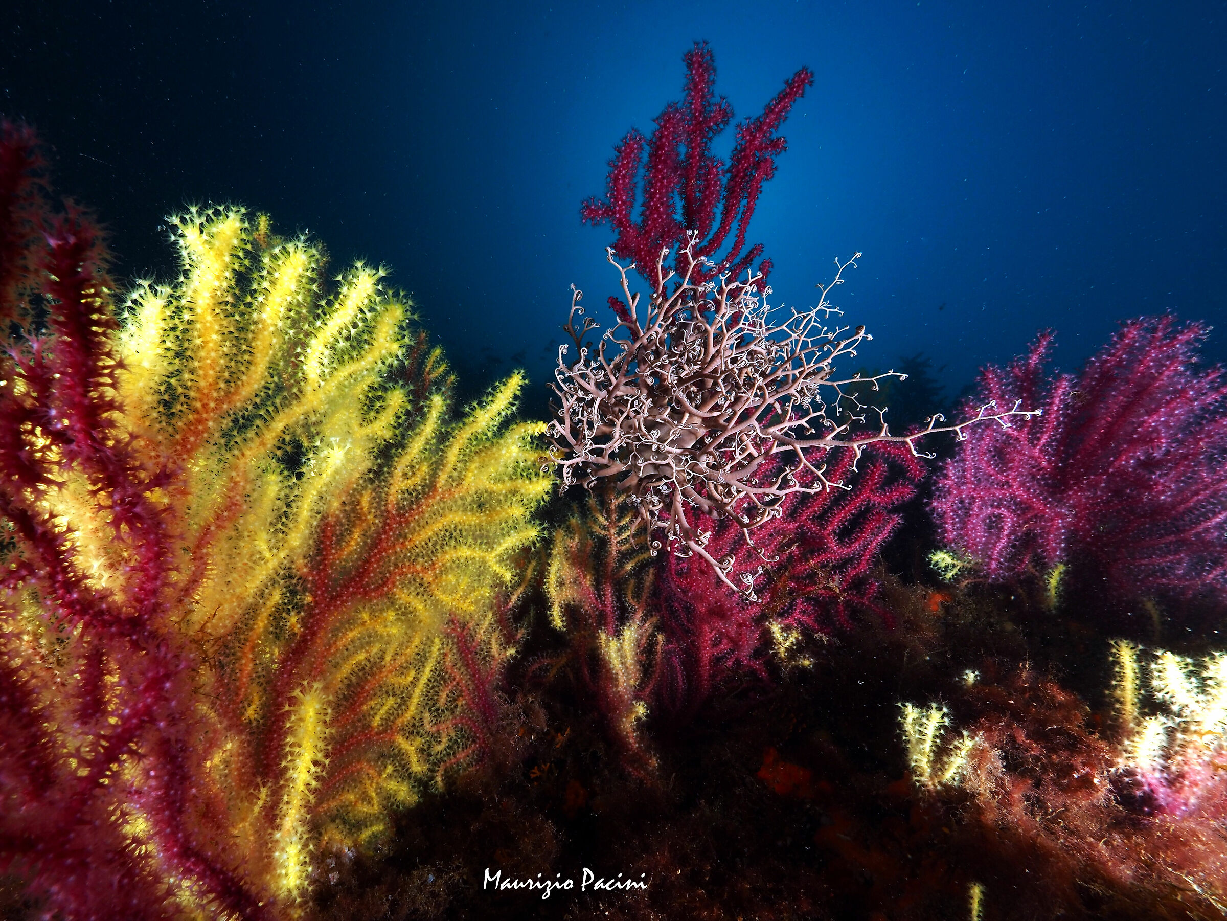 The colours of the Medas Islands