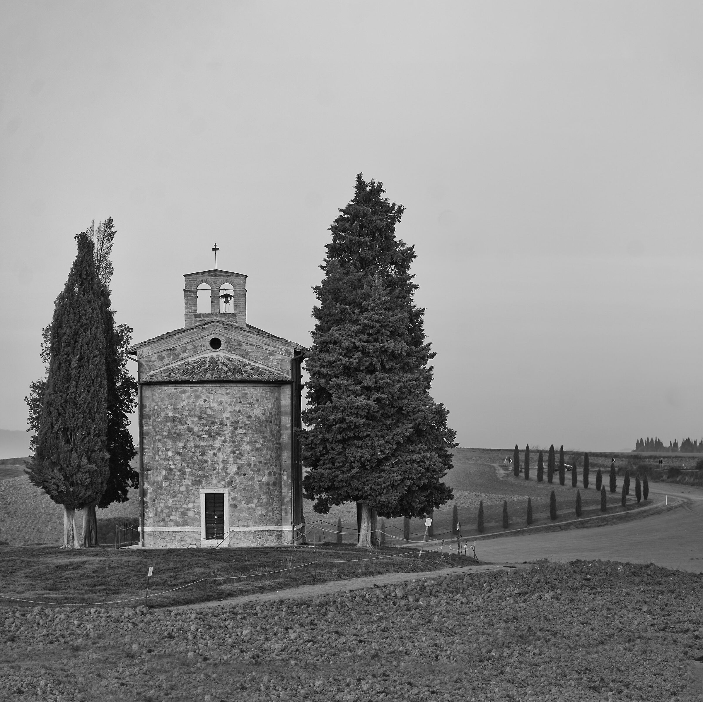 Vitaleta