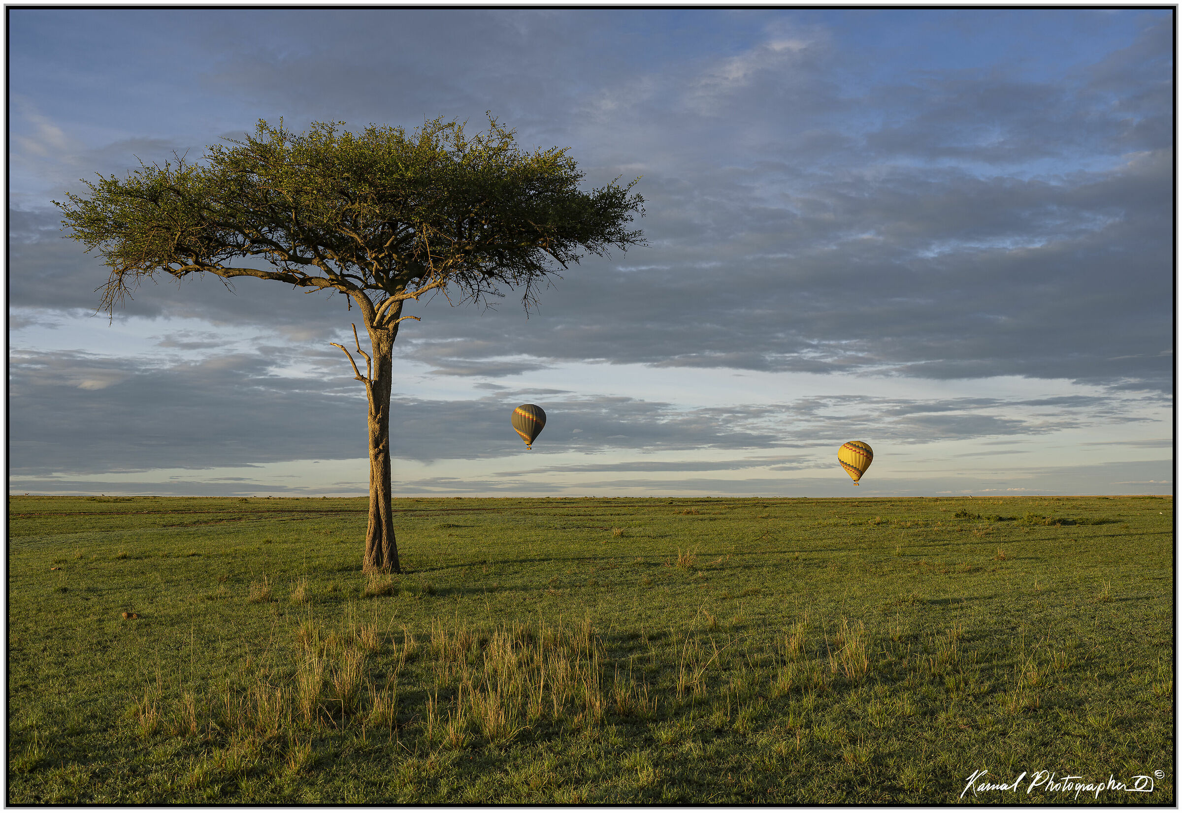Masai Mara