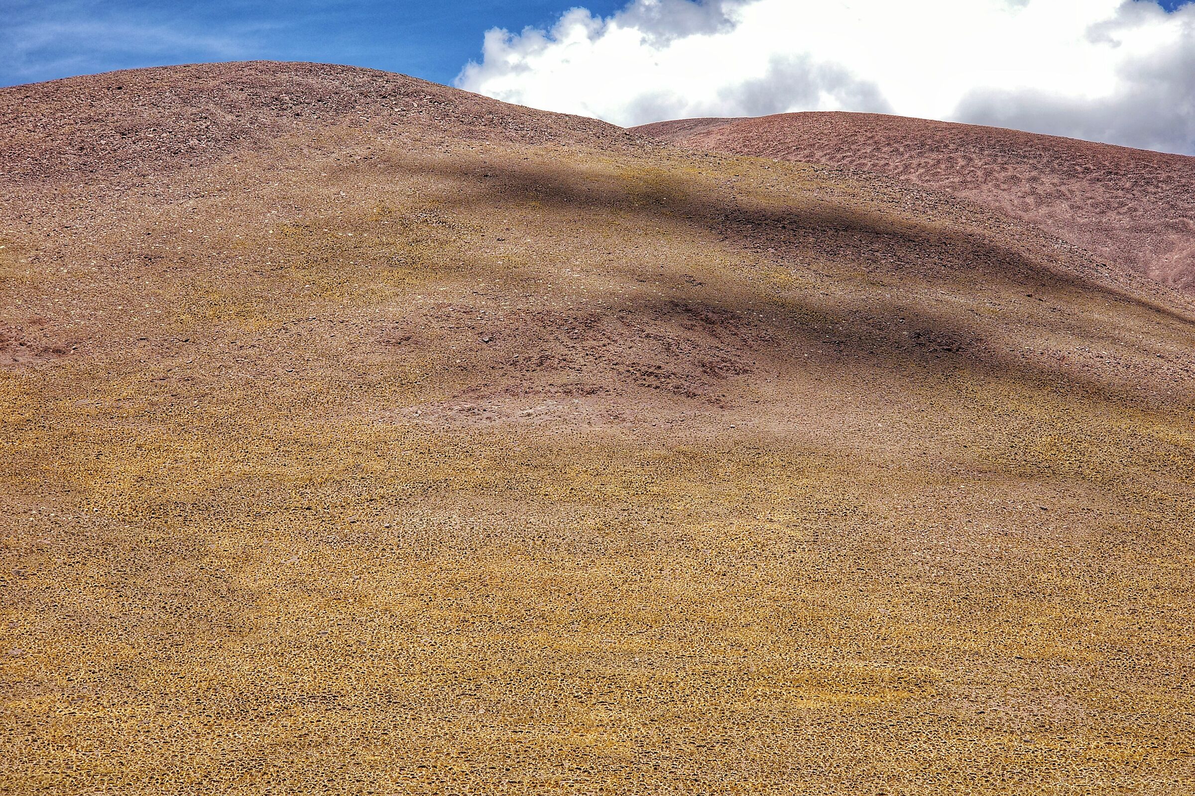 La Poma 4995m