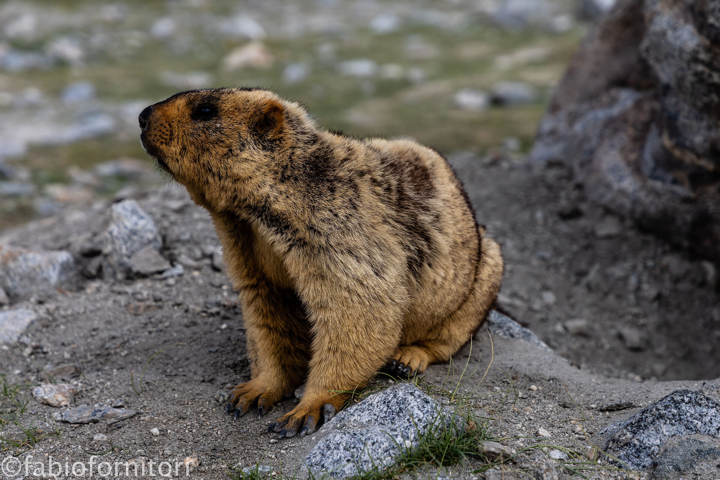 From Leh to Pangong Tso 2, Ladakh, India 2023