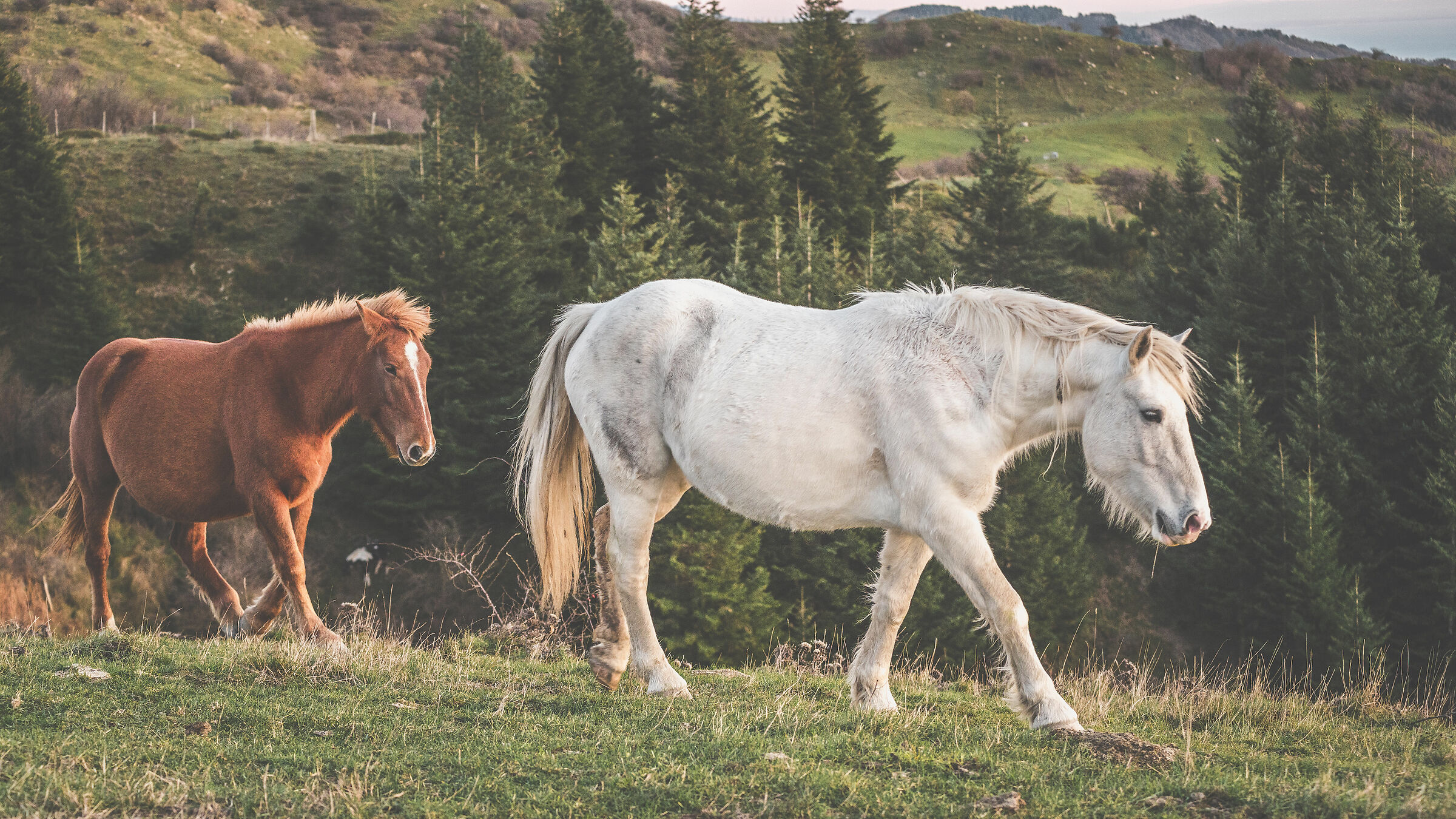 Alta via dei monti liguri