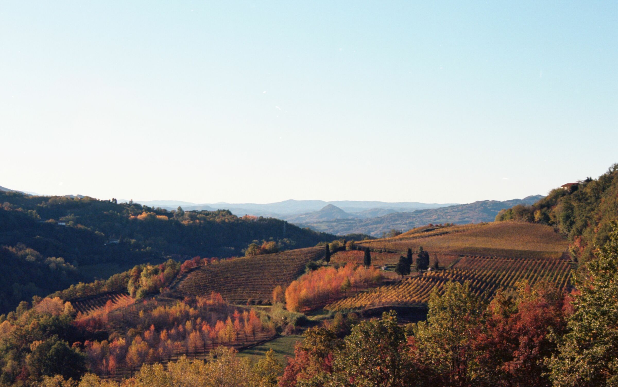 Autunno su pellicola