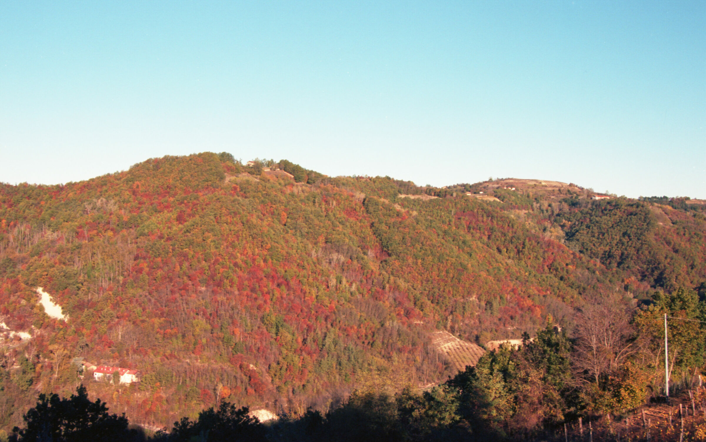 Autunno su pellicola 2