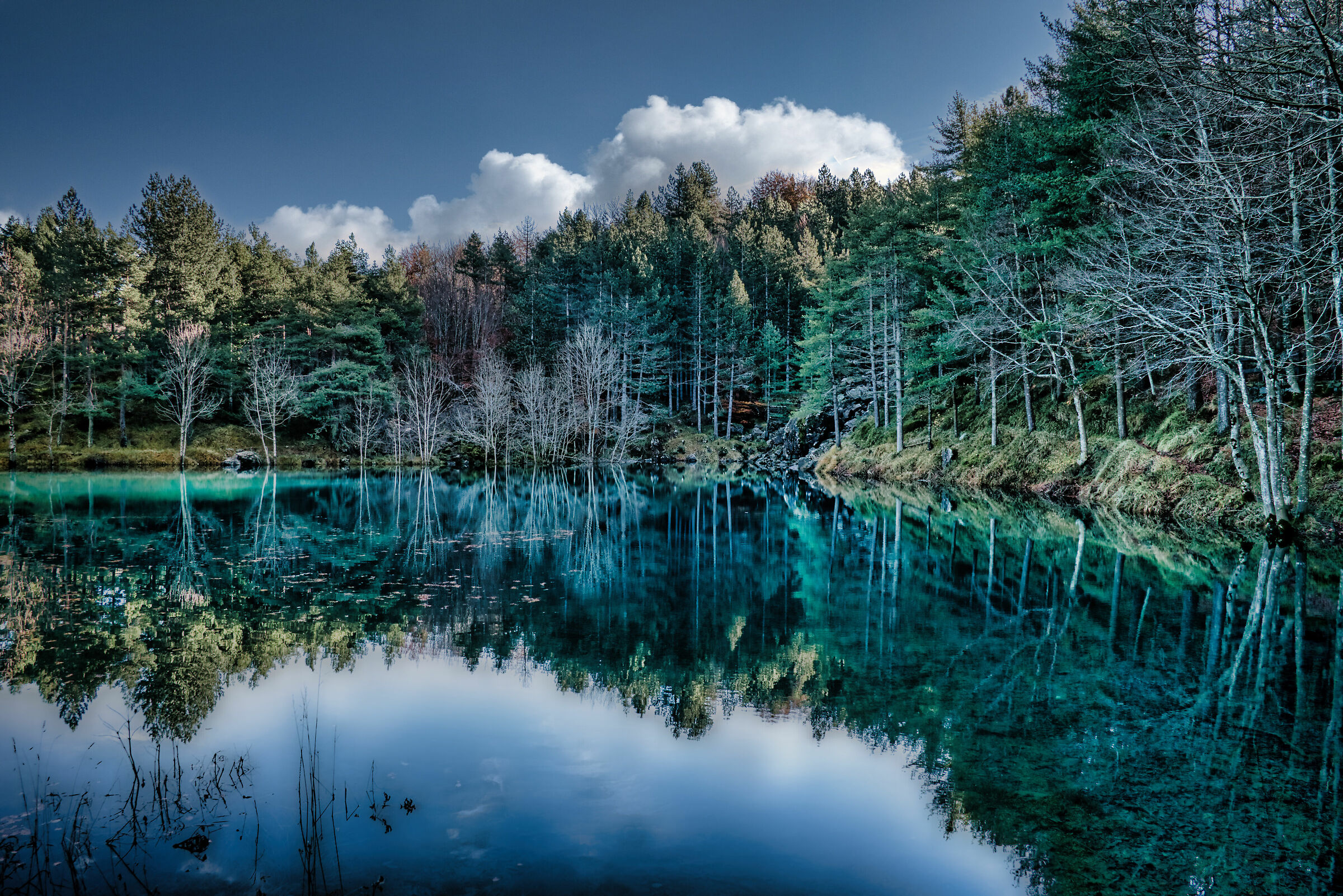 The Lake