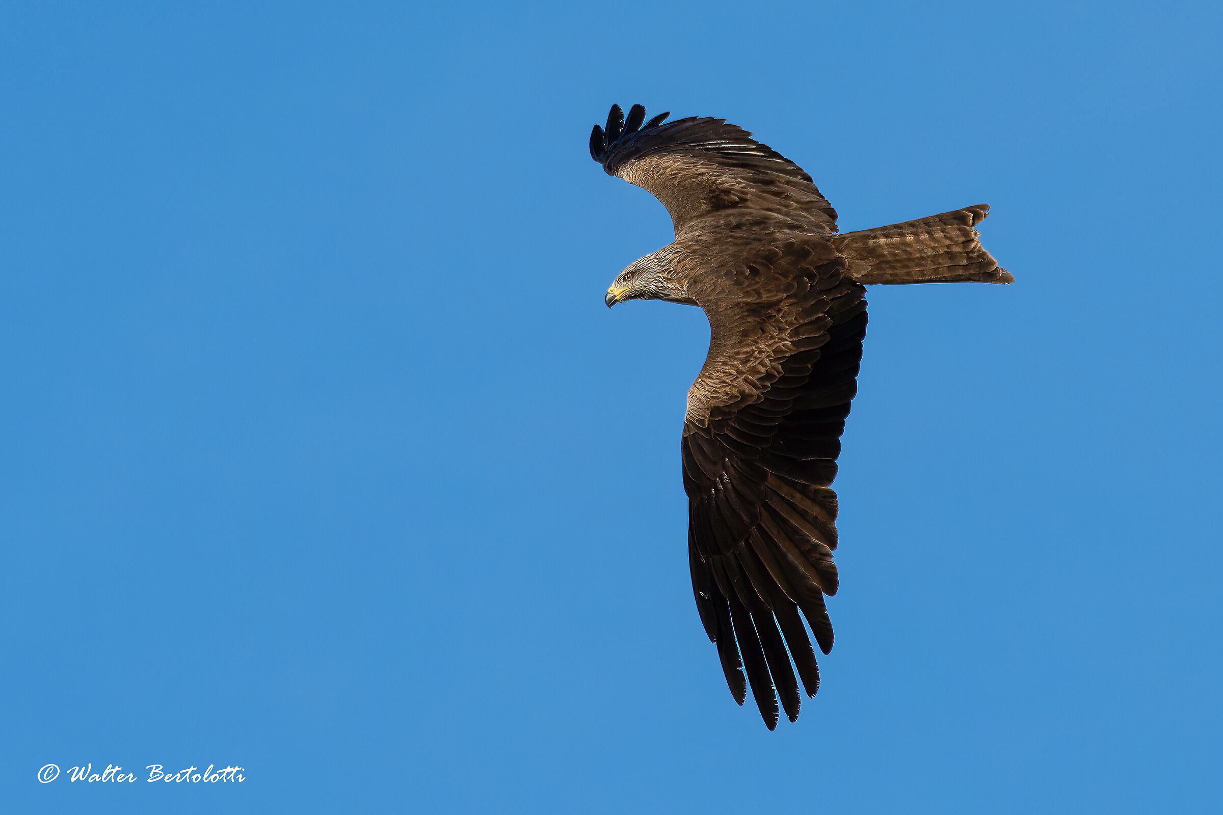 passaggi ed evoluzioni