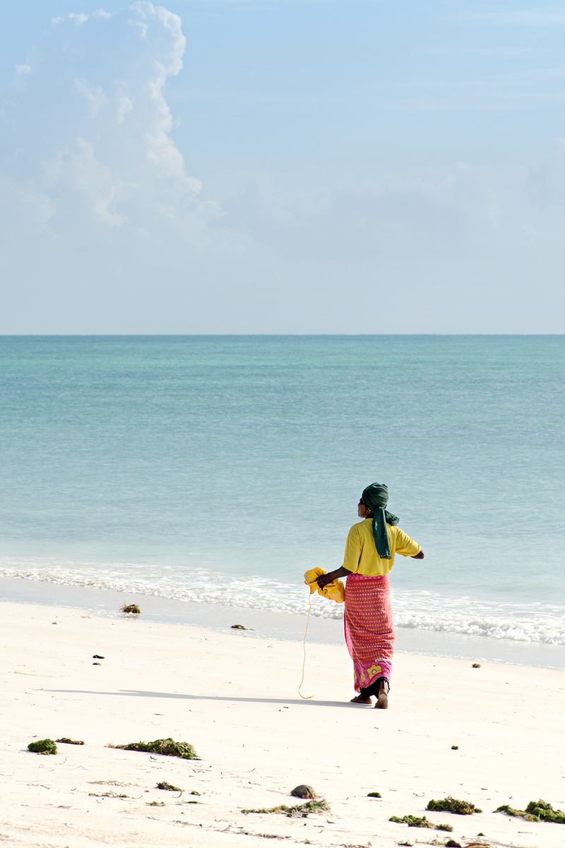 The Collection of Algae in Zanzibar