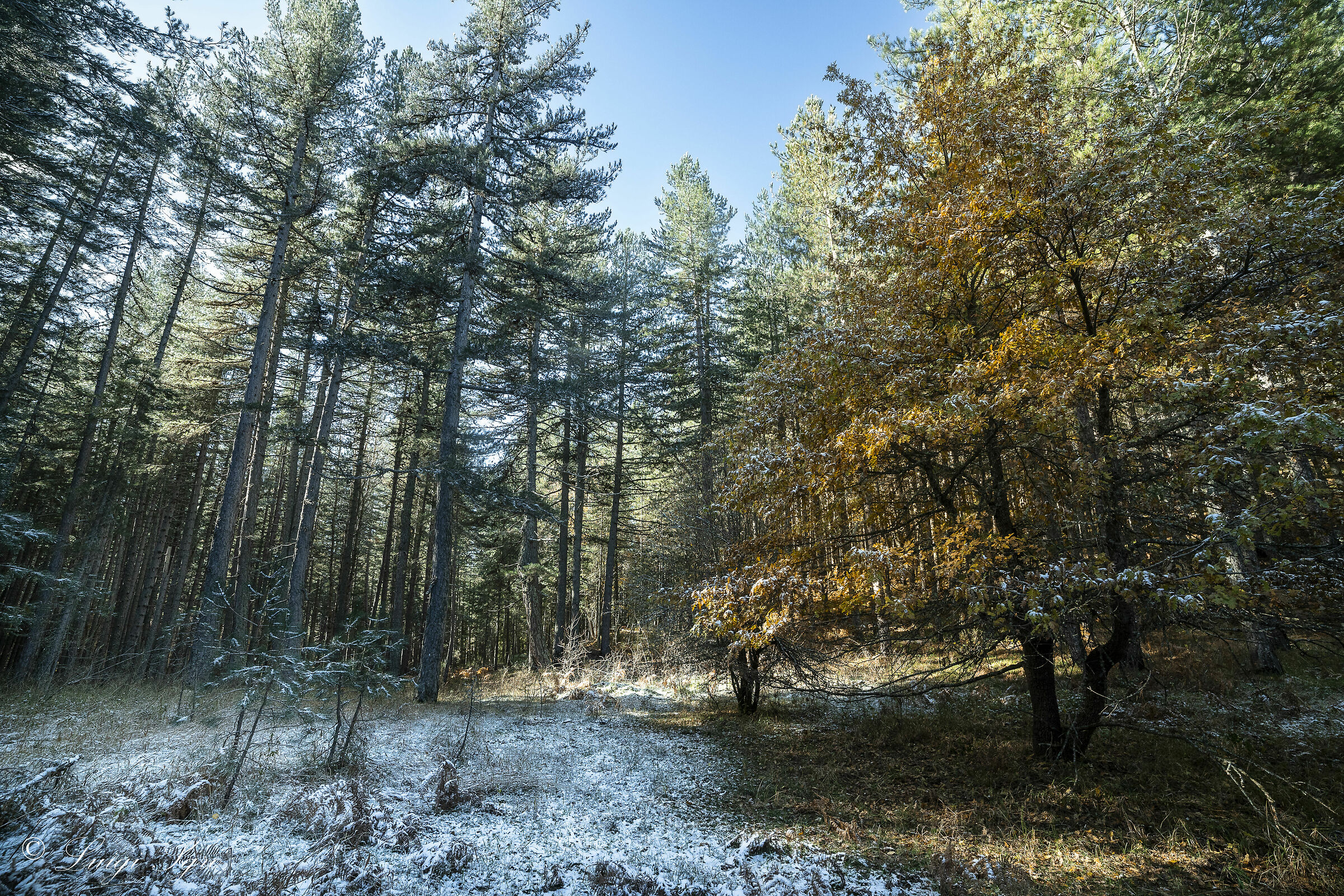 l' Autunno cede il passo all' Inverno