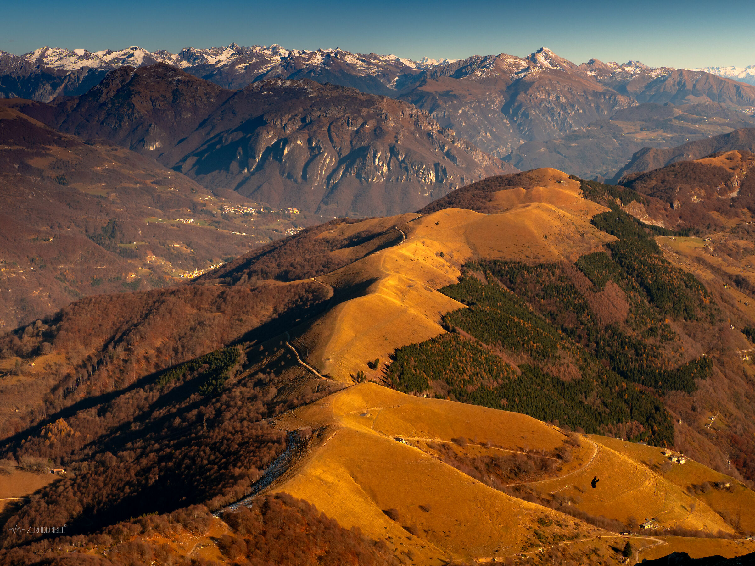 Bold Mountains, Bald Hills