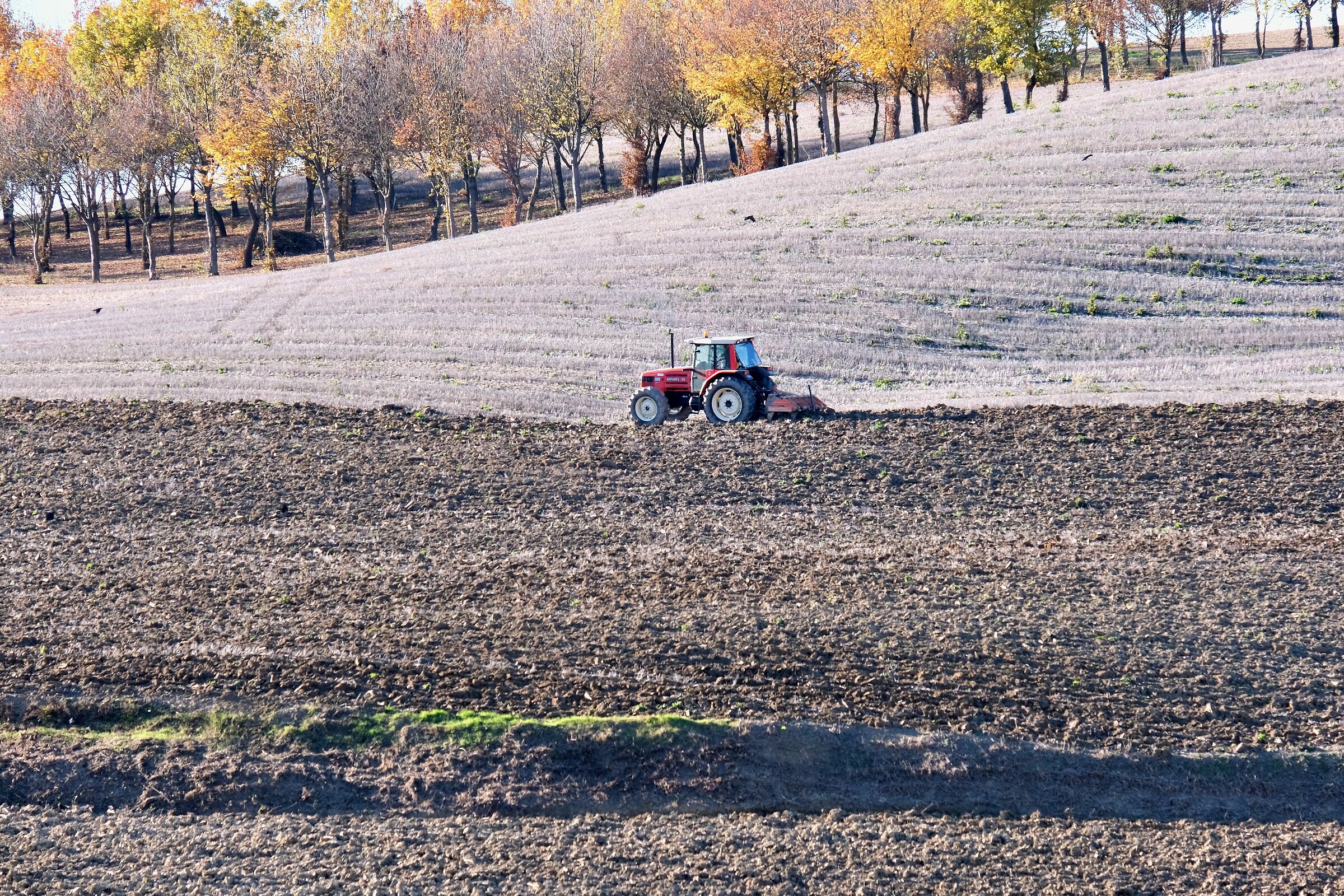 The Crafts of the Land