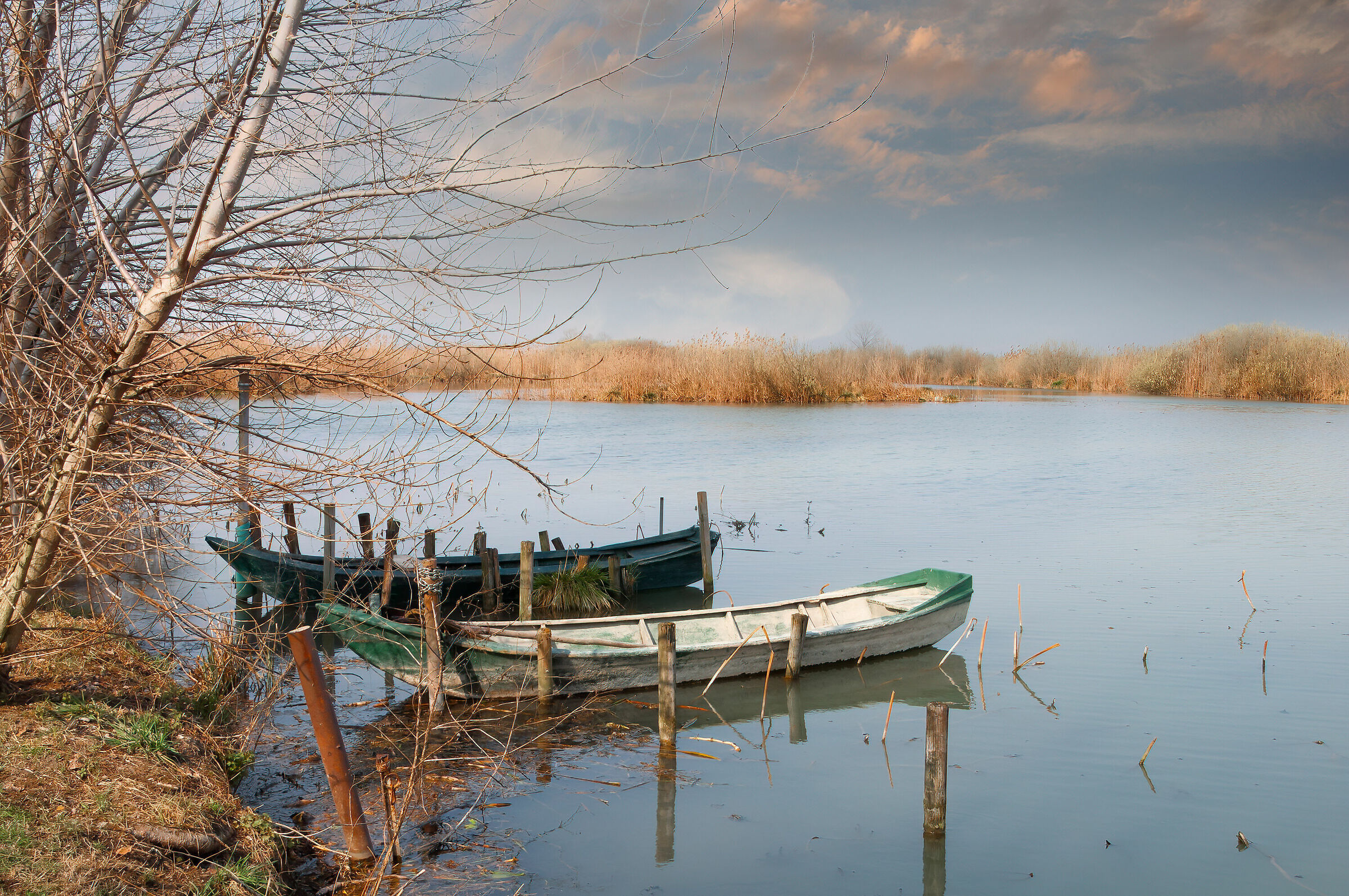 Sulle sponde del Mincio