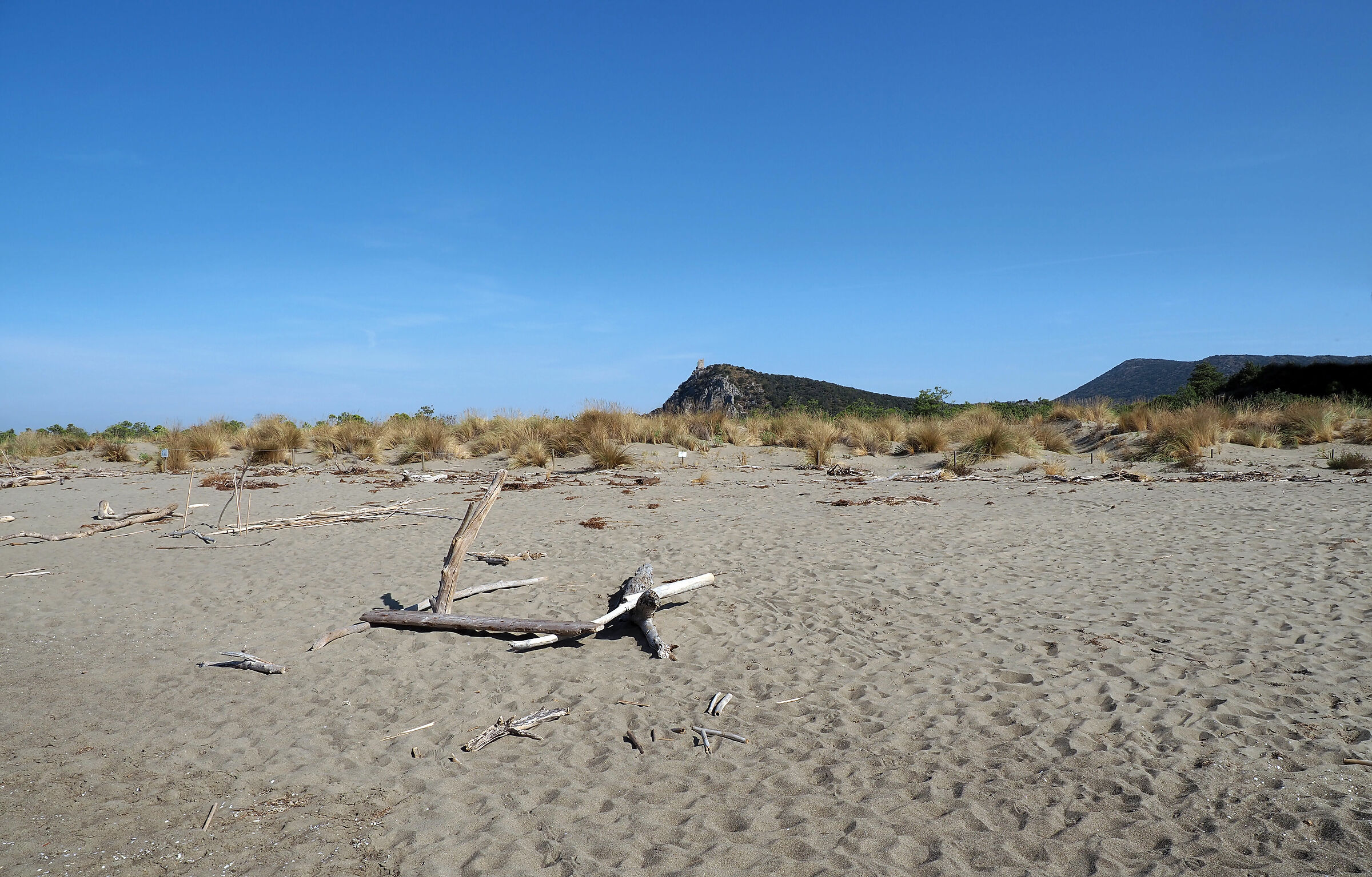 Collelungo (Maremma)