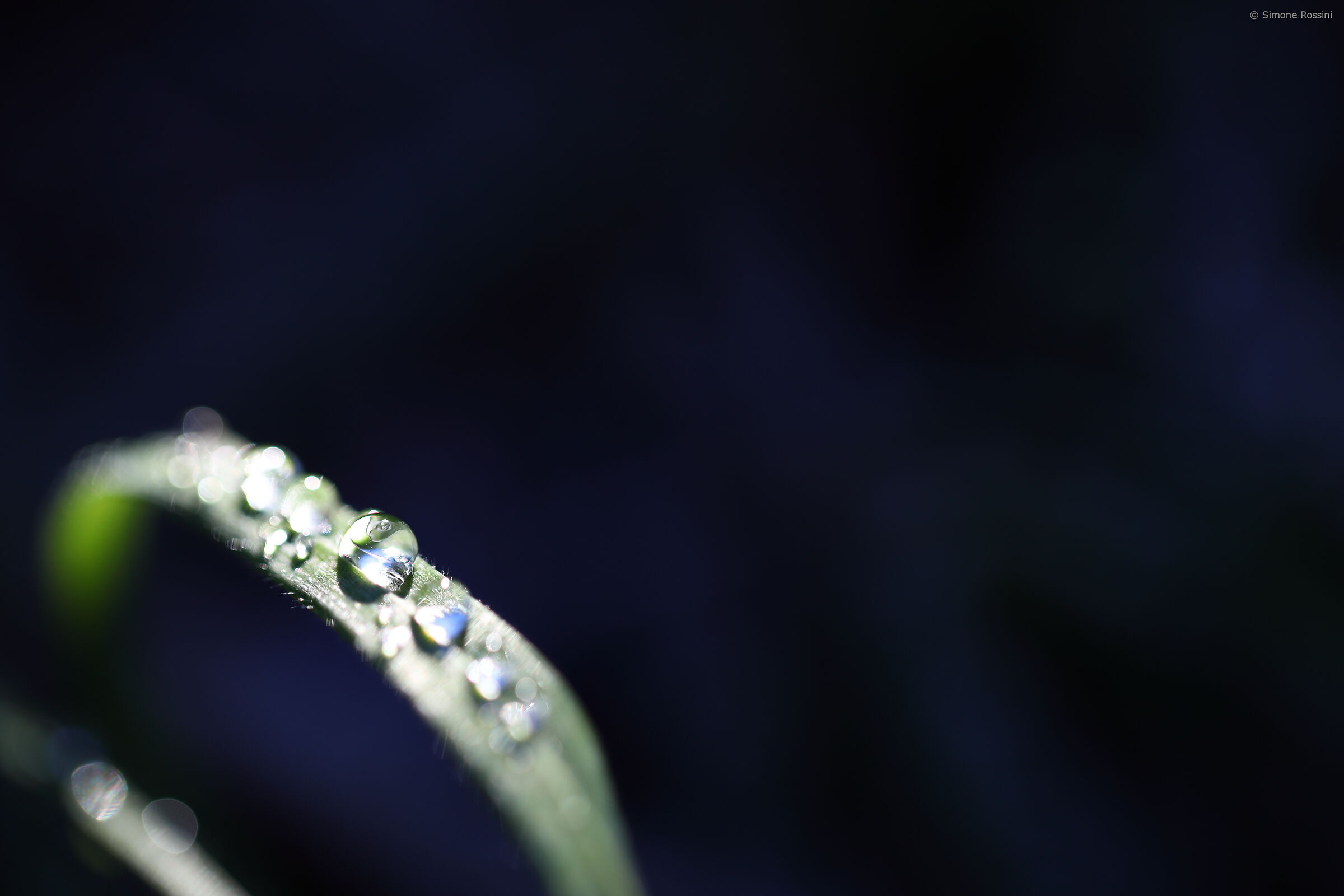 A drop of mindfulness