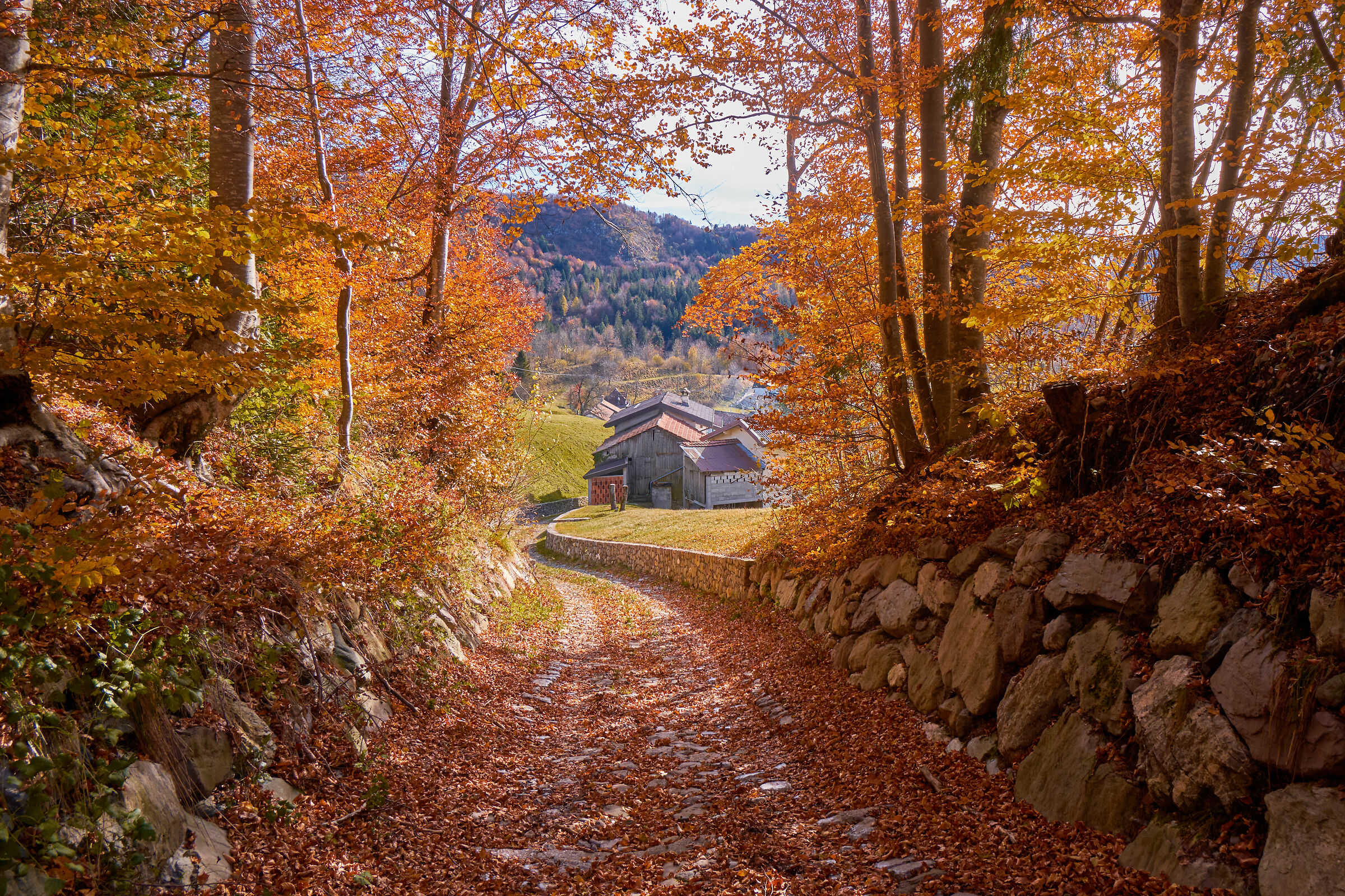 Return to the village