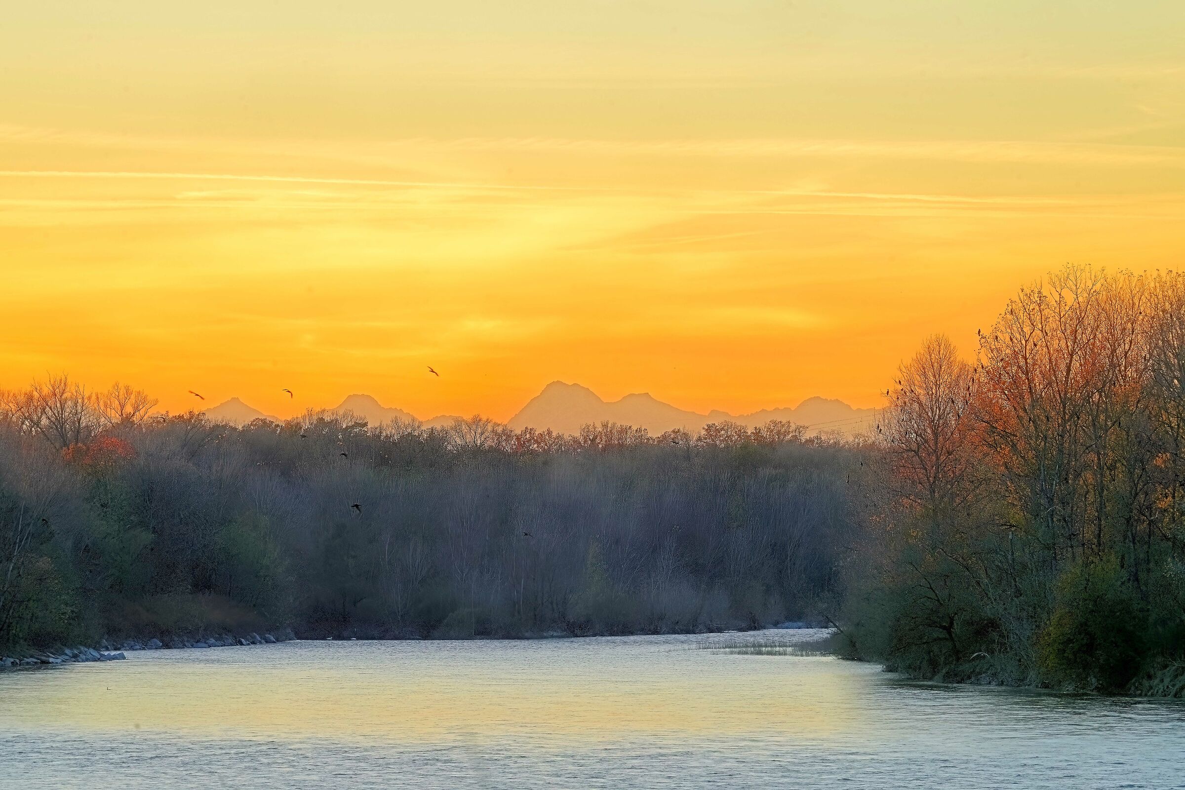 Castelletto di Cuggiono