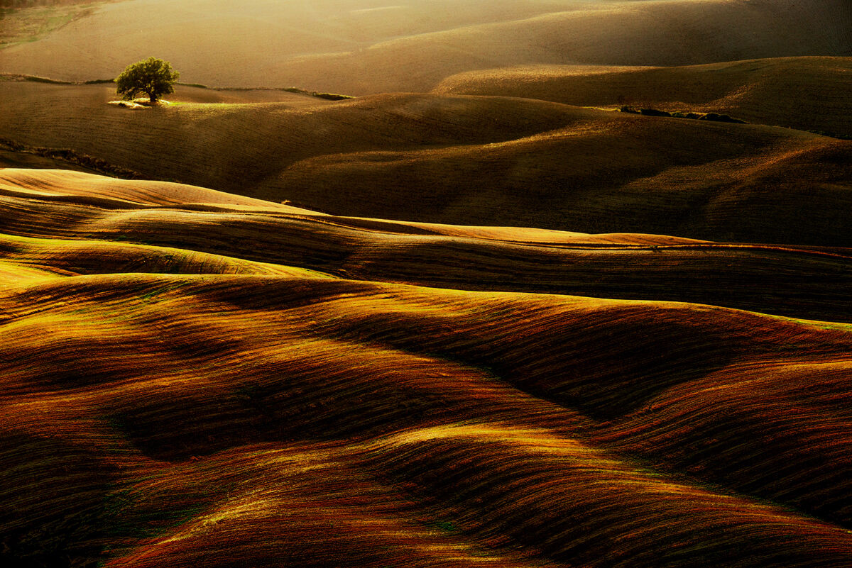 onde morbide...