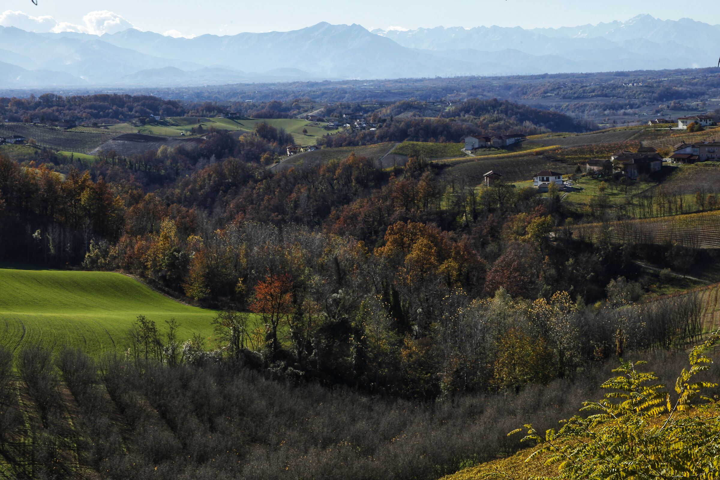 Panoramica