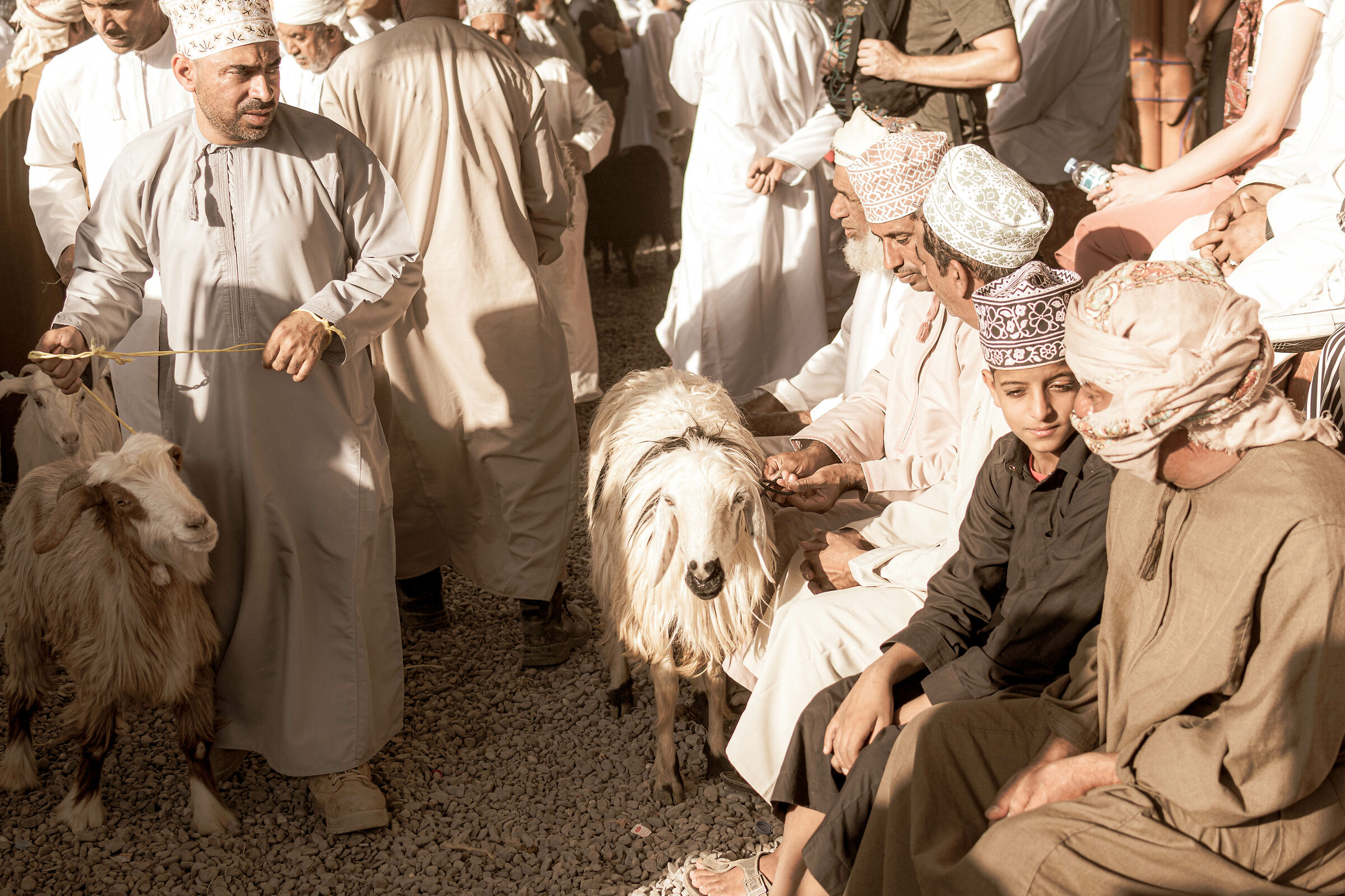 Mercato del bestiame - Nitzwa Souq