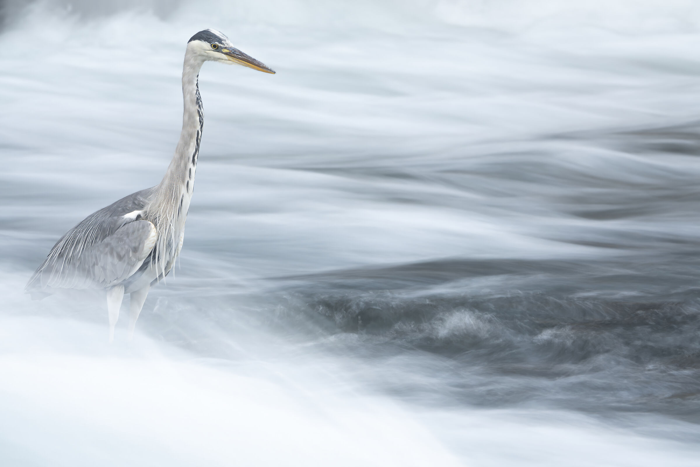 In the movement of the current