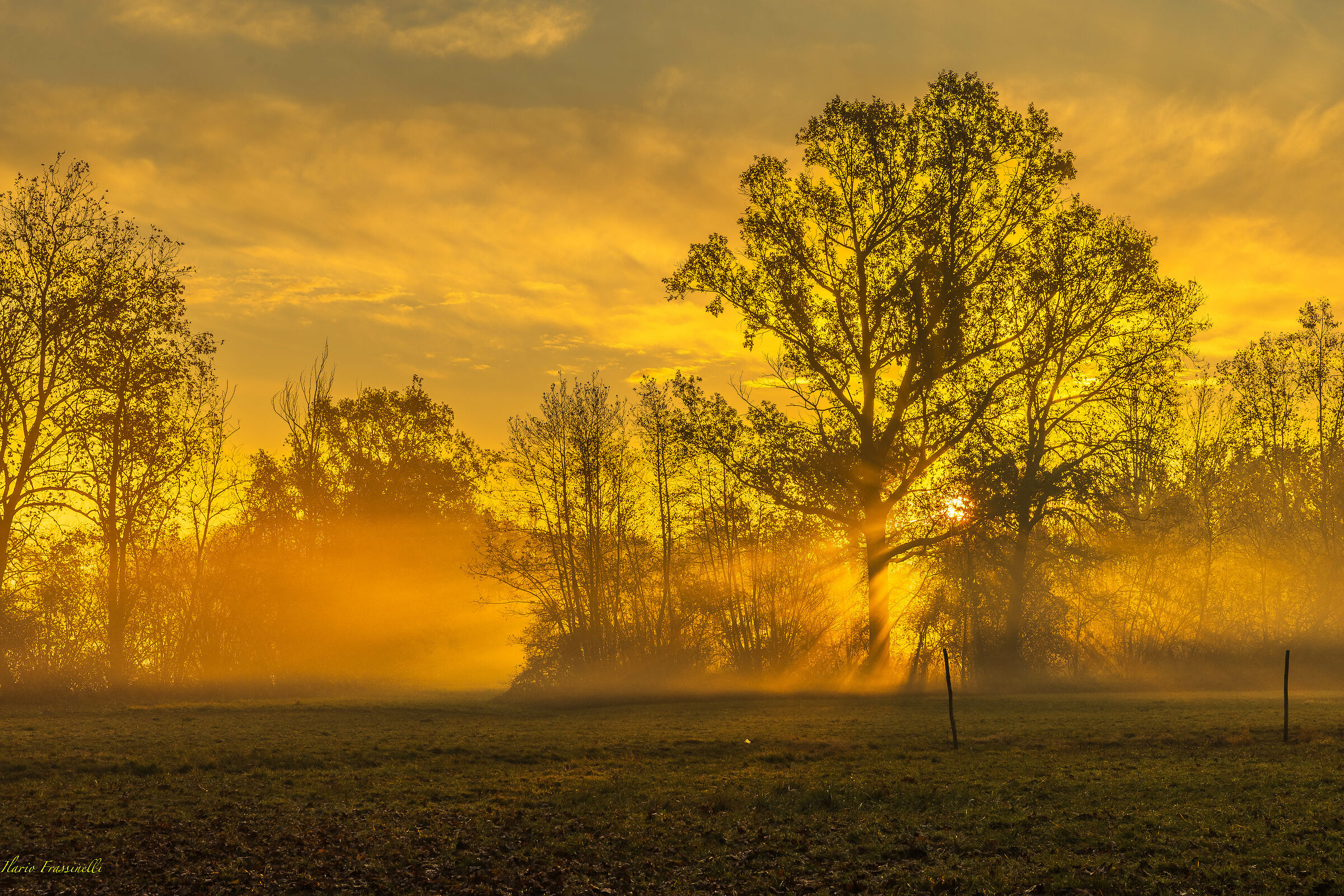 Il sole sorge nella nebbia